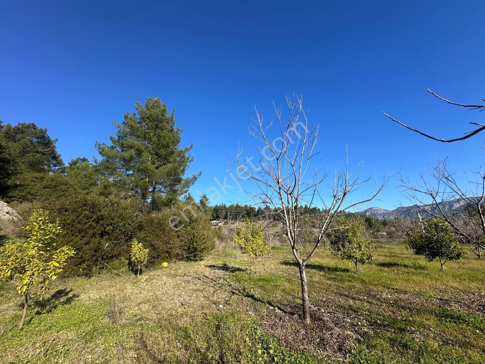 Muğla Dalaman Karaağaçta 1527 M2 İmarlı Arsa Satılık - Görsel 7