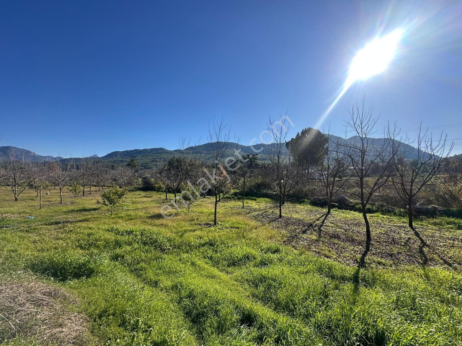 Muğla Dalaman Karaağaçta 1527 M2 İmarlı Arsa Satılık