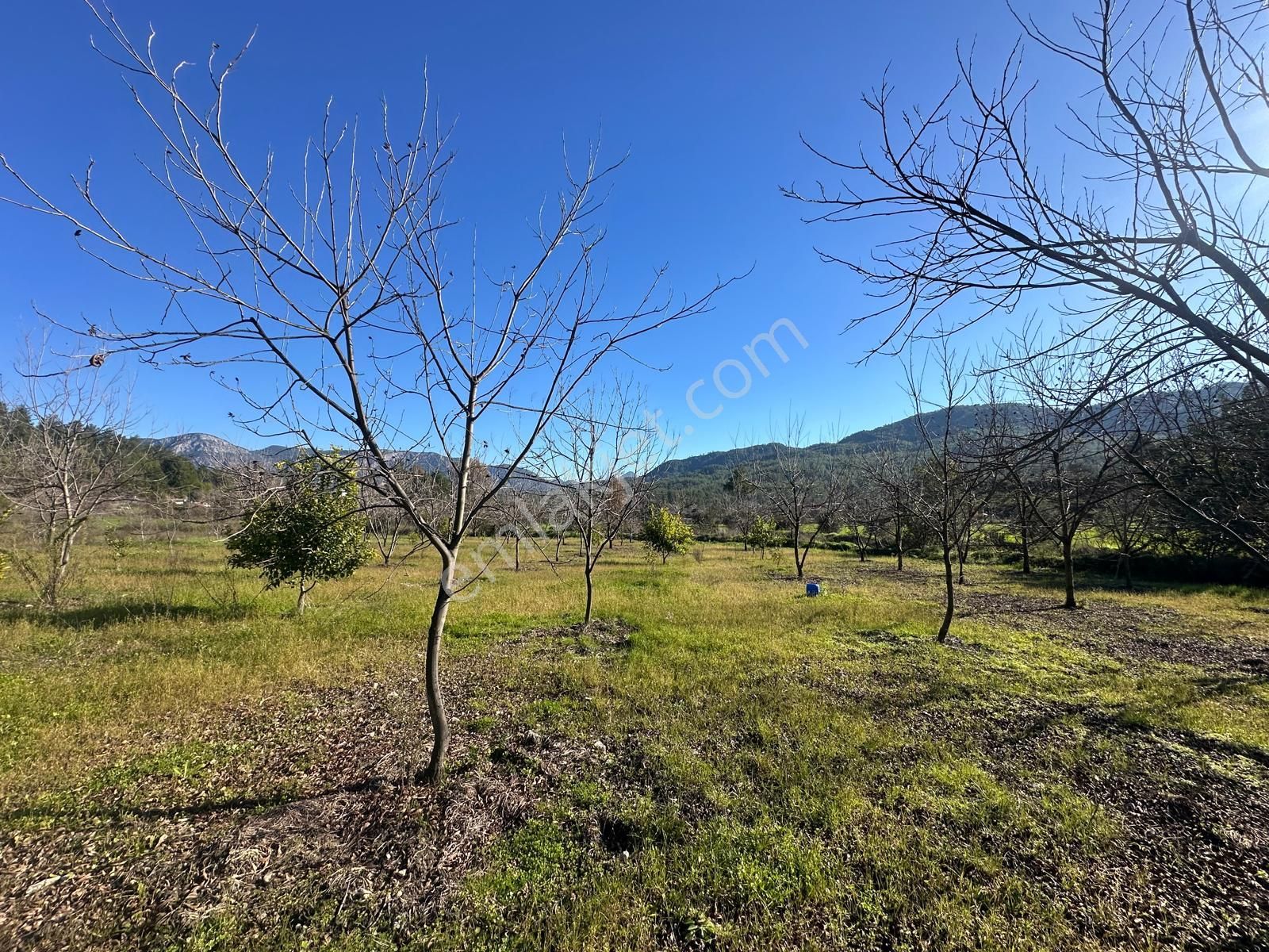 Muğla Dalaman Karaağaçta 1527 M2 İmarlı Arsa Satılık - Görsel 11