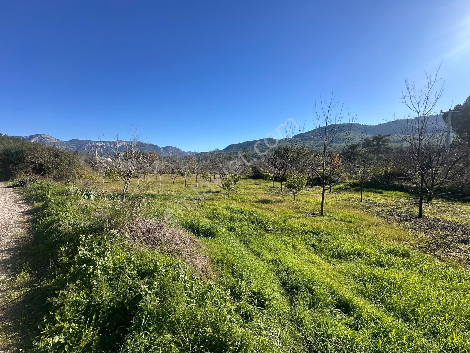 Muğla Dalaman Karaağaçta 1527 M2 İmarlı Arsa Satılık - Görsel 12