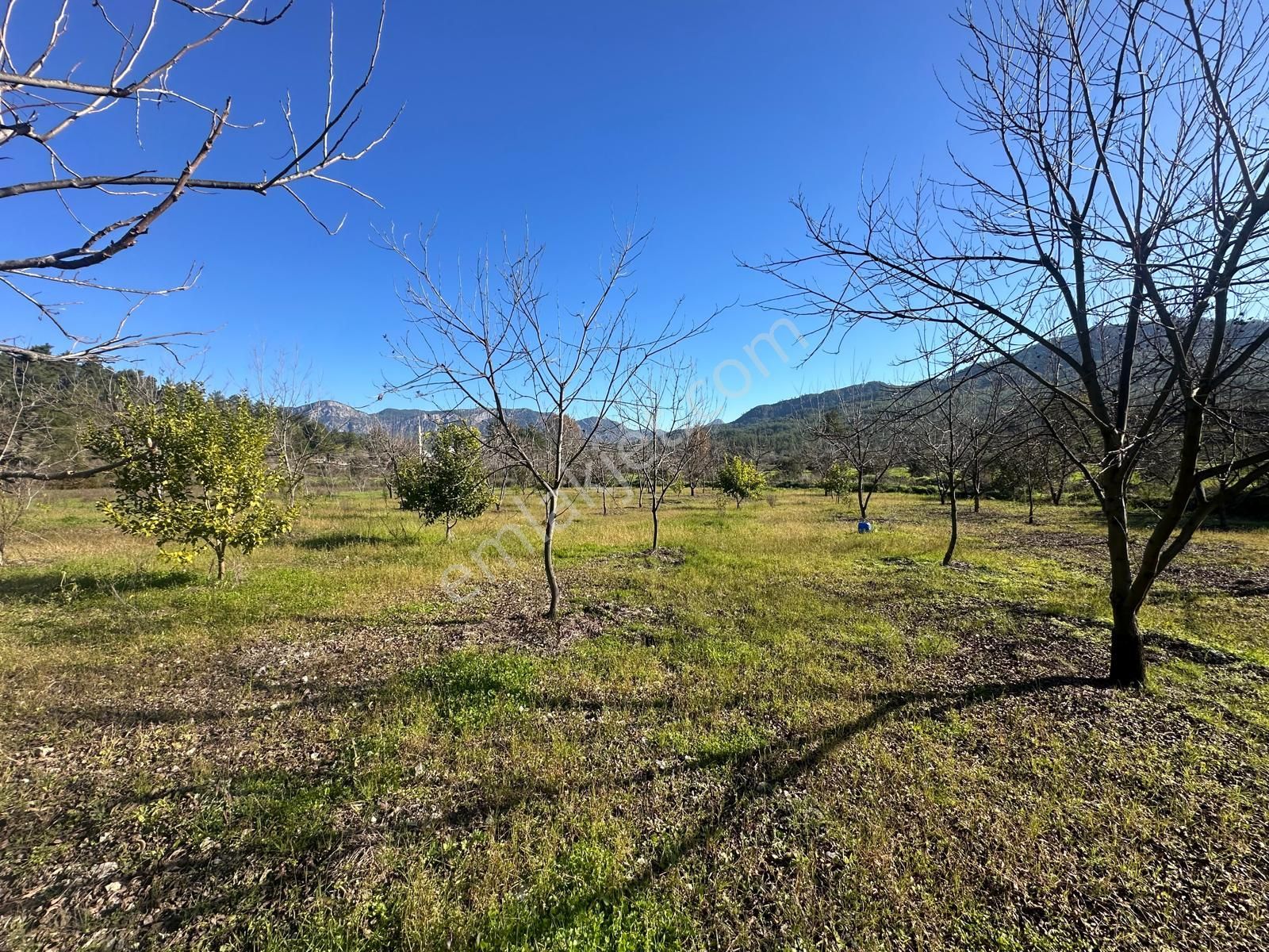 Muğla Dalaman Karaağaçta 1527 M2 İmarlı Arsa Satılık - Görsel 8