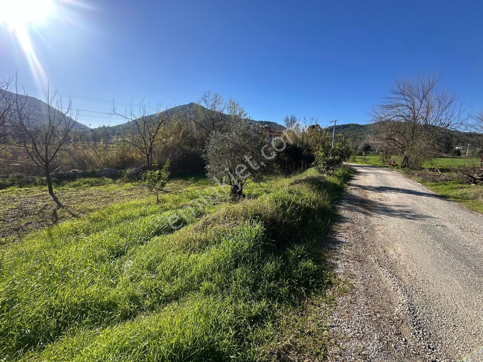 Muğla Dalaman Karaağaçta 1527 M2 İmarlı Arsa Satılık - Görsel 4