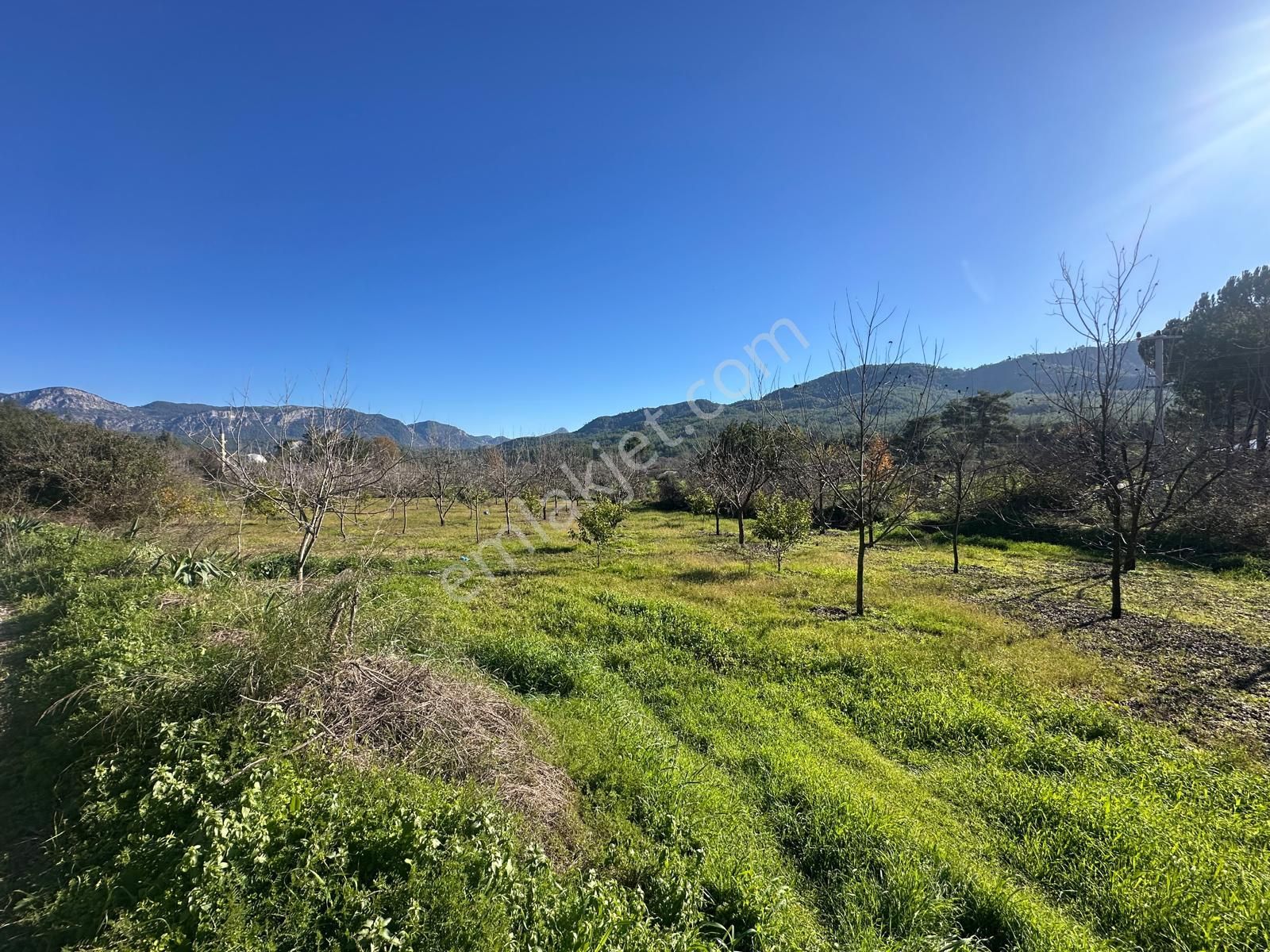 Muğla Dalaman Karaağaçta 1527 M2 İmarlı Arsa Satılık - Görsel 5