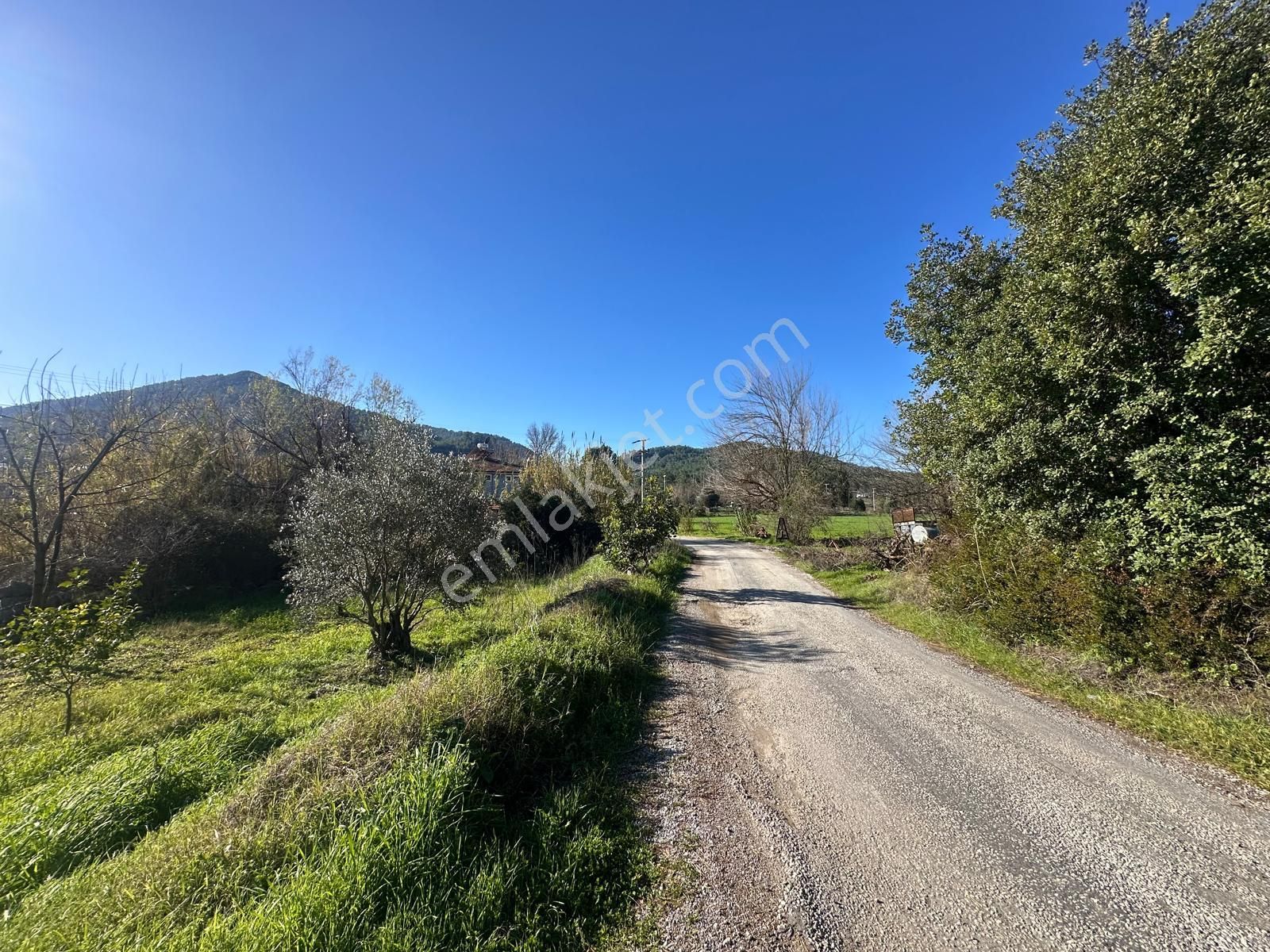 Muğla Dalaman Karaağaçta 1527 M2 İmarlı Arsa Satılık - Görsel 2