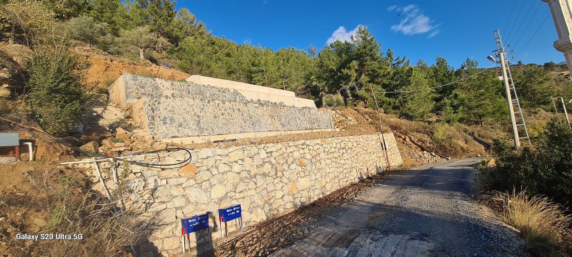 Antalya Gazipaşa Zeytinadada Muhteşem Deniz Ve Doga Manzaralı Villa Arsası 635 Mk Arsa - Görsel 2