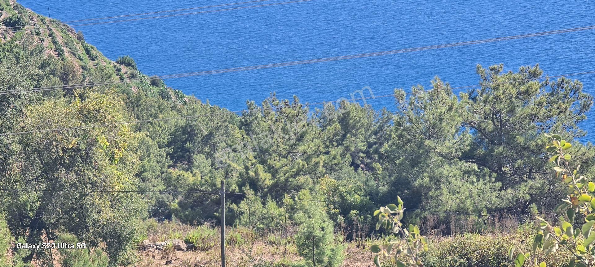 Antalya Gazipaşa Zeytinadada Muhteşem Deniz Ve Doga Manzaralı Villa Arsası 635 Mk Arsa - Görsel 5