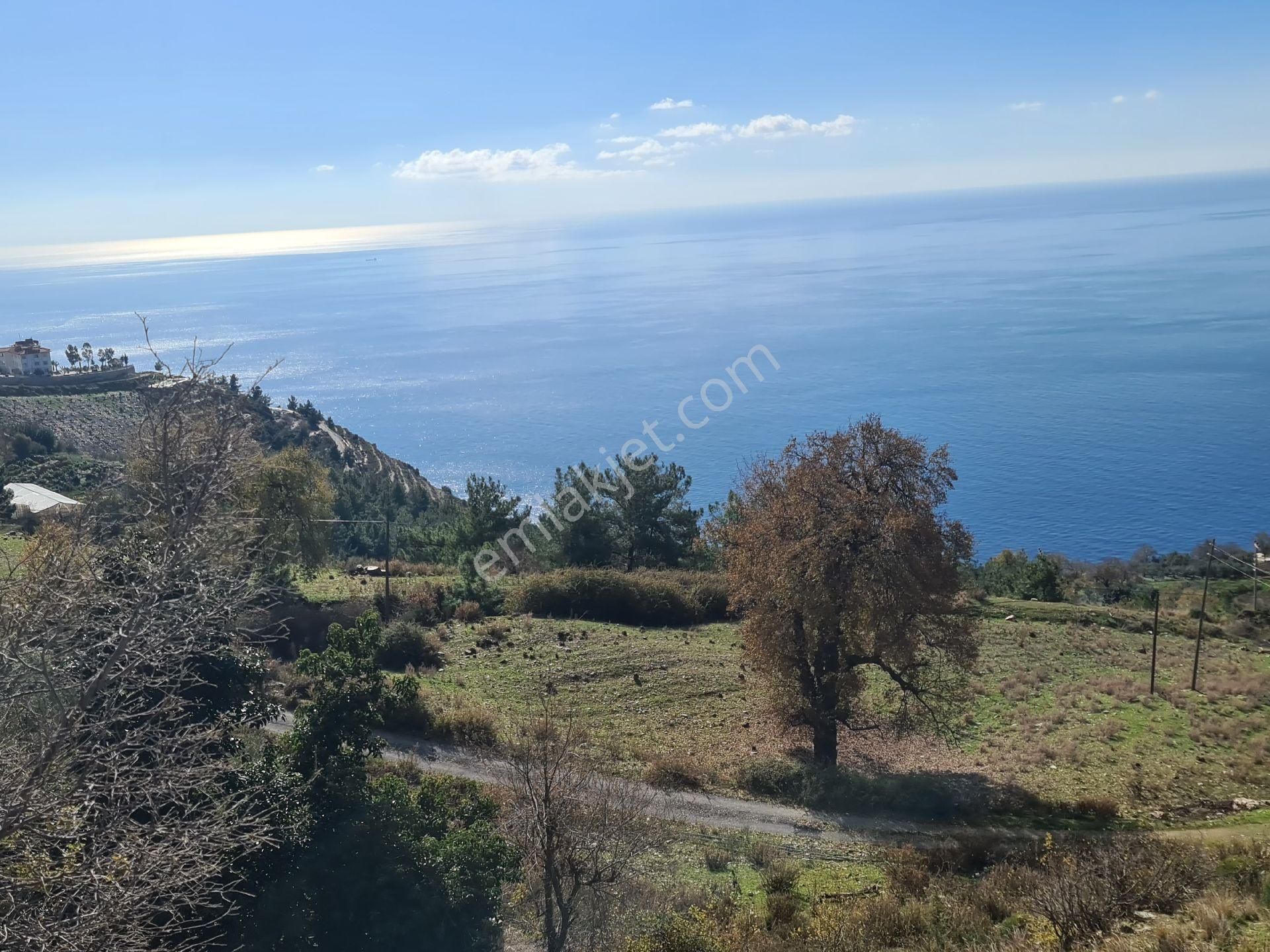 Antalya Gazipaşa Zeytinadada Muhteşem Deniz Ve Doga Manzaralı Villa Arsası 635 Mk Arsa - Görsel 6