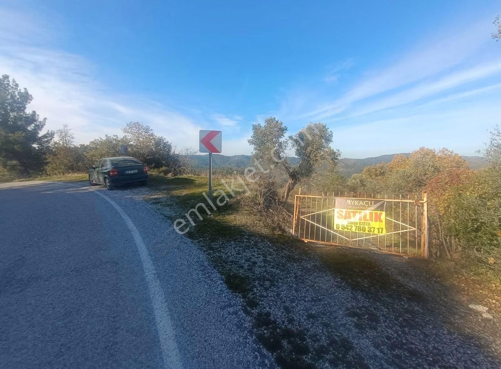 Seferihisar Beylerköyde Asfalta Cepheli 24 Dönüm Zeytinlik