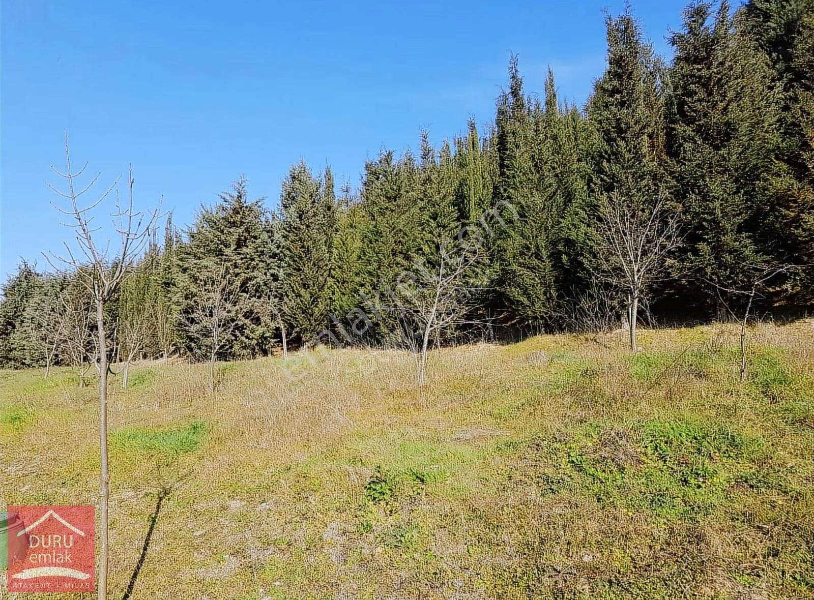 Olympiakent De 14. Bölgede 94 M2 H Tipi Ebeveyn Banyolu Daire - Görsel 24