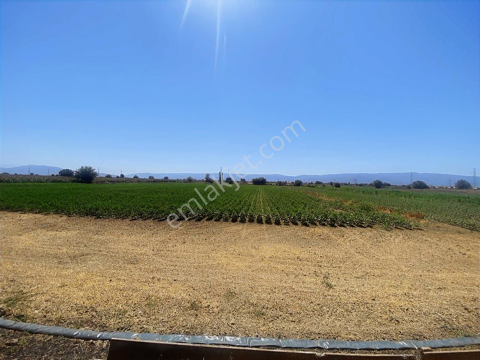 Aydın Efeler Kardeşköy De Tek Tapu 3 Dönüm Tarla - Görsel 15