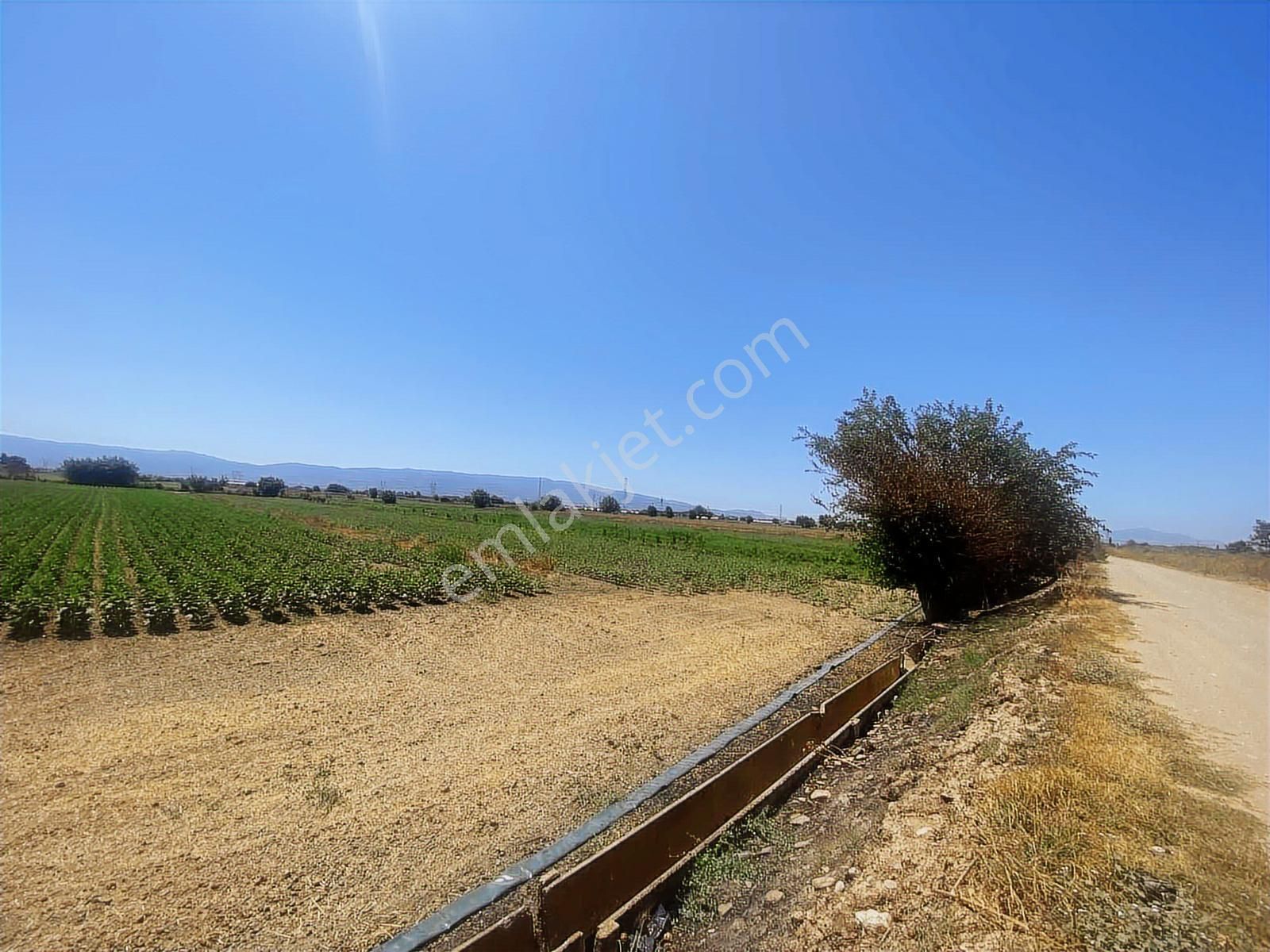 Aydın Efeler Kardeşköy De Tek Tapu 3 Dönüm Tarla - Görsel 18