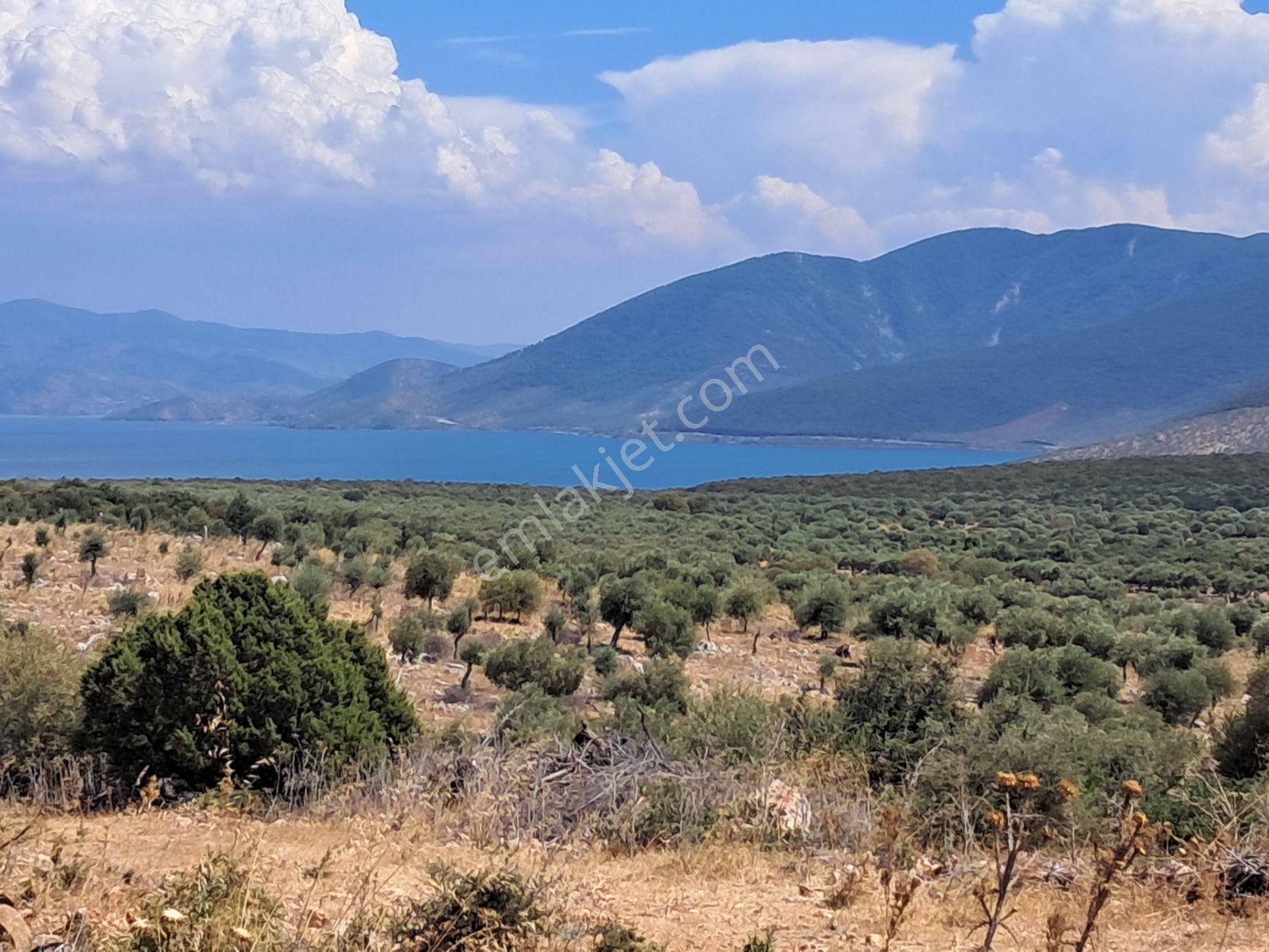 Didim 1 Adet Tam Müstakil Villa İmarlı 944 M2 Satılık Arsa - Görsel 4