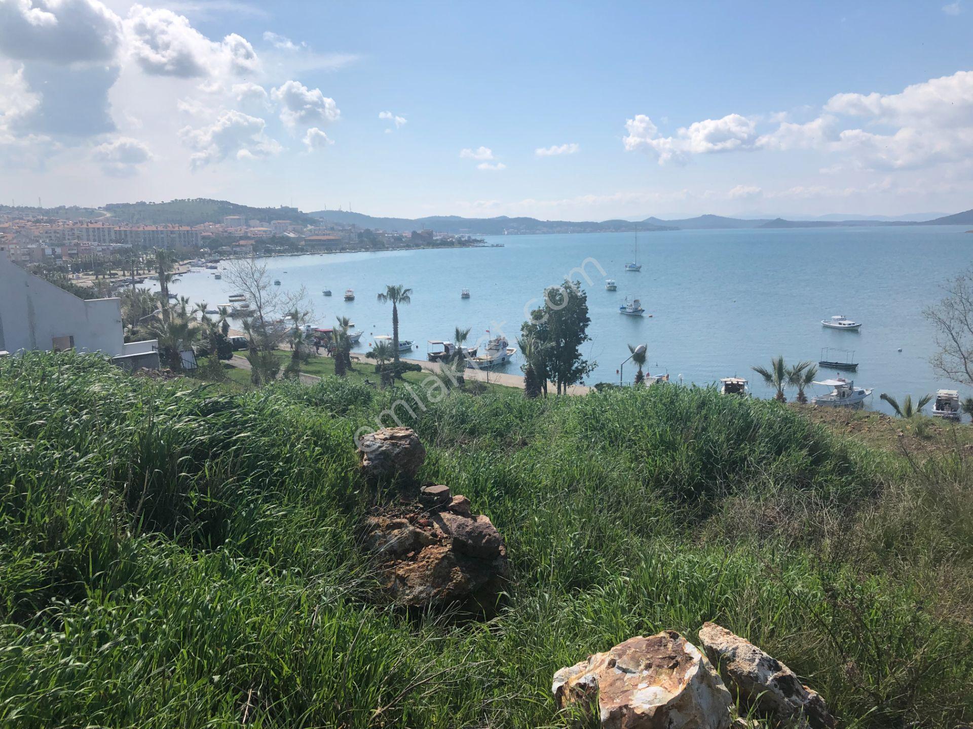 Ayvalık Ta Satılık 2000 Metre Kare Konut-turizm İmarlı Arsa. - Görsel 3