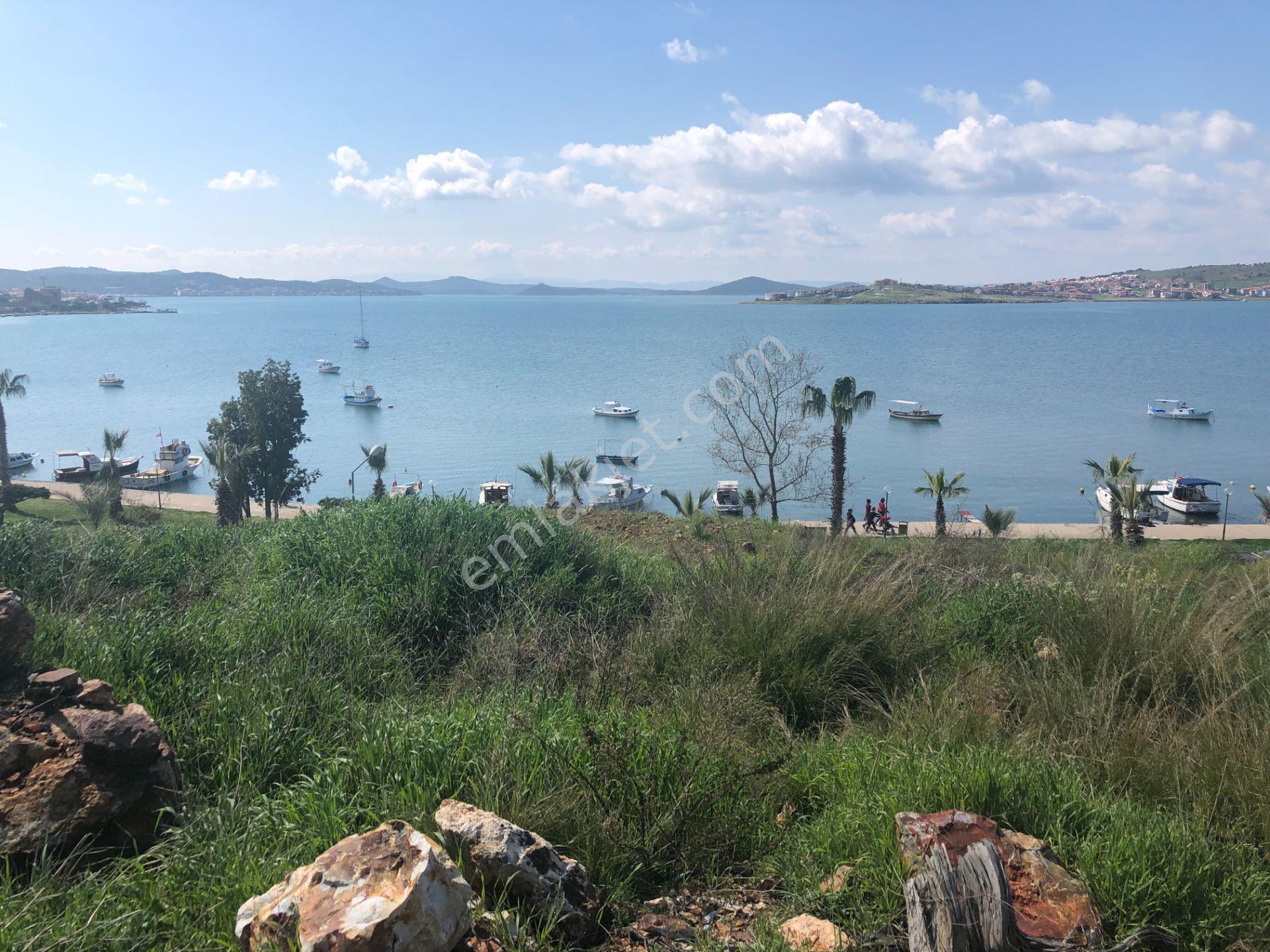 Ayvalık Ta Satılık 2000 Metre Kare Konut-turizm İmarlı Arsa. - Görsel 12