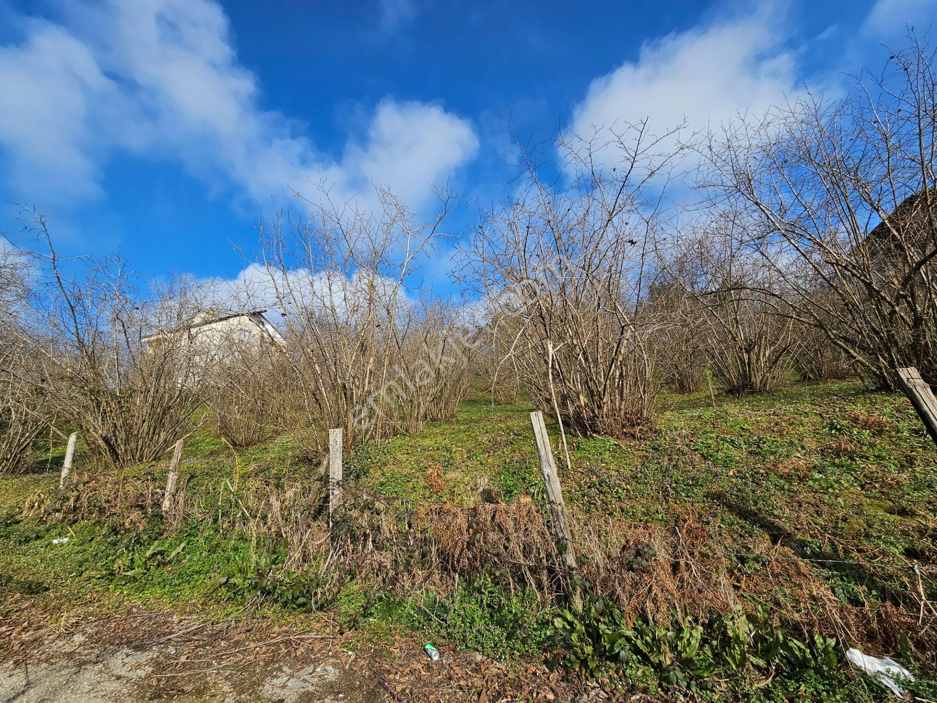 Kocaali Sakarya'da 1610 M2 Merkezi Konumda , 18 Uygulaması Başlamış Satılık Tarla - Görsel 5