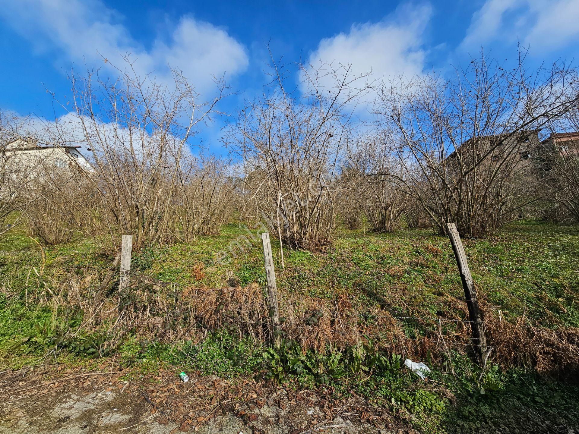 Kocaali Sakarya'da 1610 M2 Merkezi Konumda , 18 Uygulaması Başlamış Satılık Tarla - Görsel 4