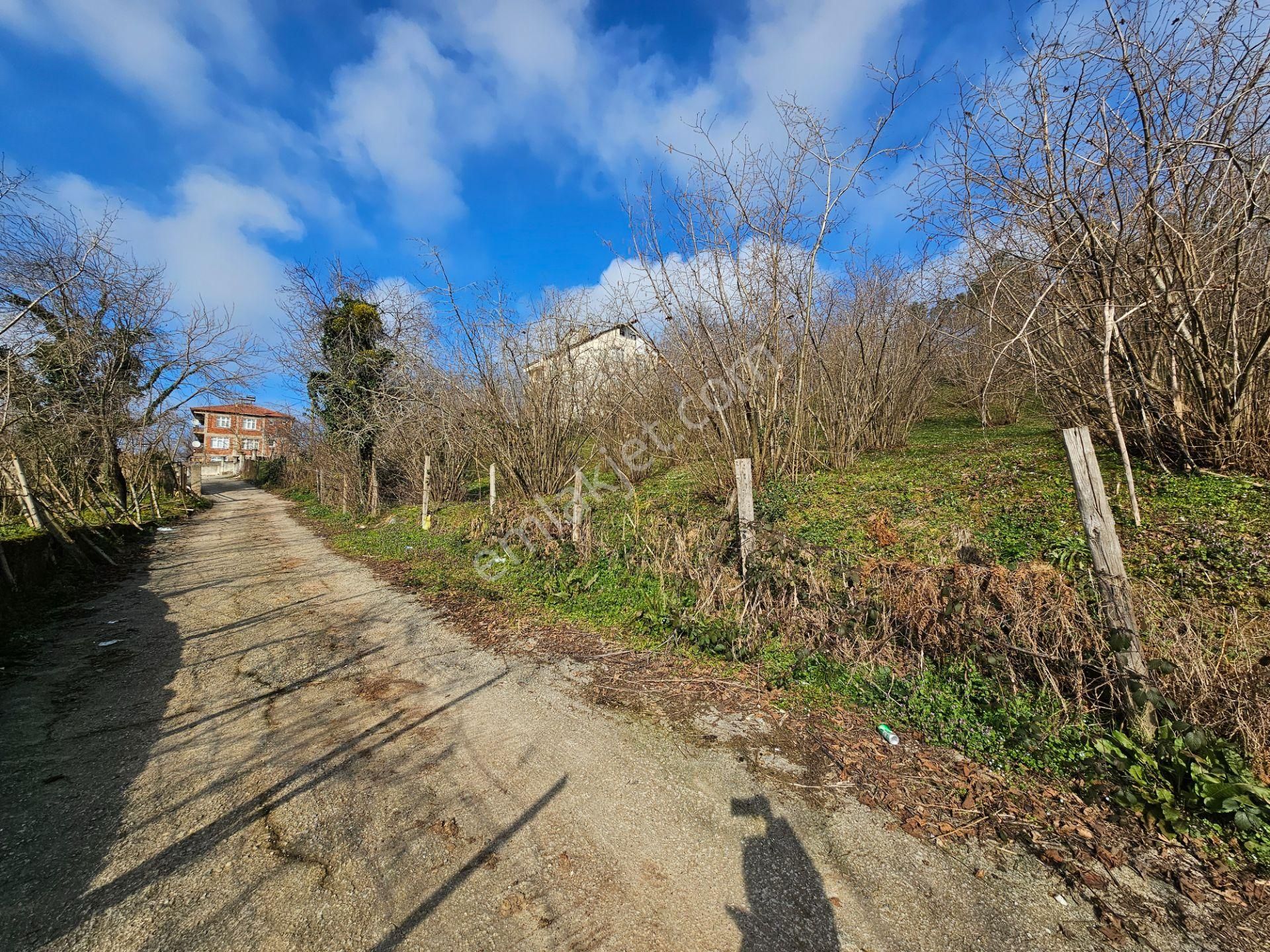 Kocaali Sakarya'da 1610 M2 Merkezi Konumda , 18 Uygulaması Başlamış Satılık Tarla - Görsel 6