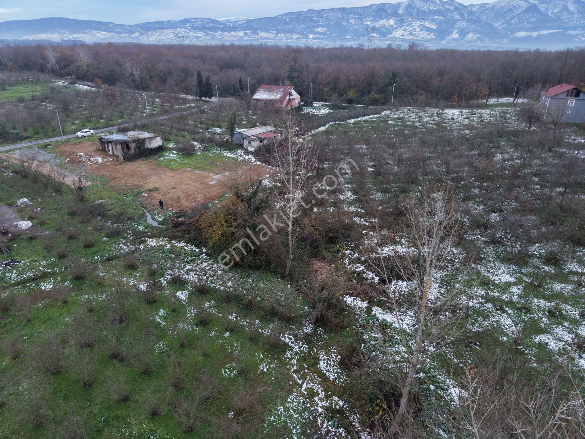 Emlakevim - Sakarya Hendek Akova Mah.de Satılık İmarlı Arsa - - Görsel 9
