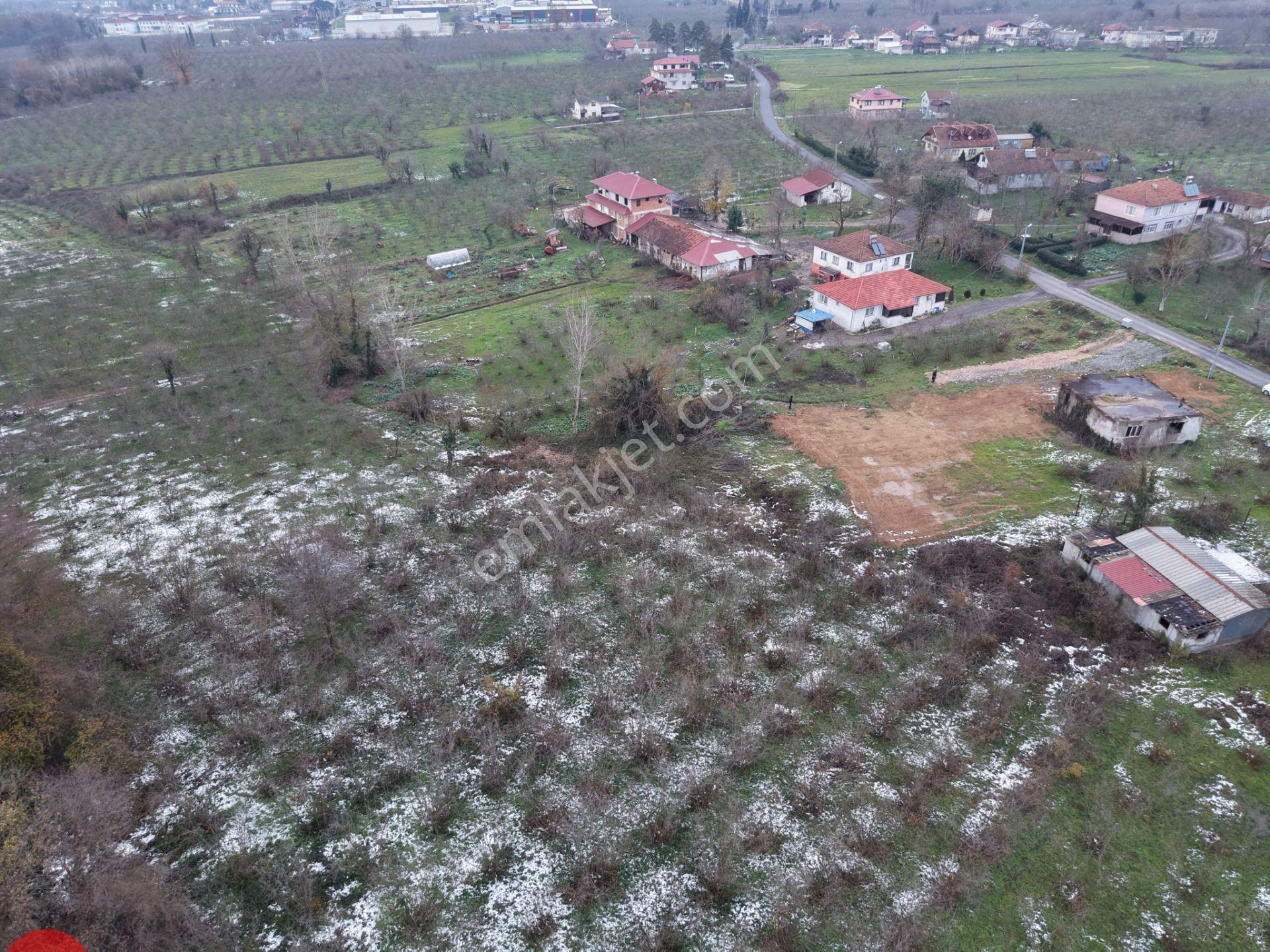 Emlakevim - Sakarya Hendek Akova Mah.de Satılık İmarlı Arsa - - Görsel 2