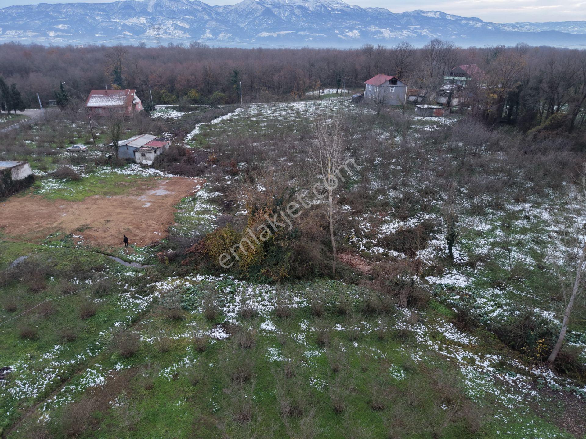 Emlakevim - Sakarya Hendek Akova Mah.de Satılık İmarlı Arsa - - Görsel 8