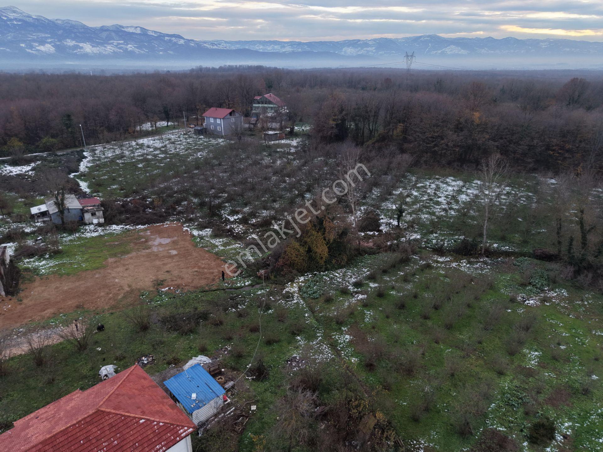 Emlakevim - Sakarya Hendek Akova Mah.de Satılık İmarlı Arsa - - Görsel 4