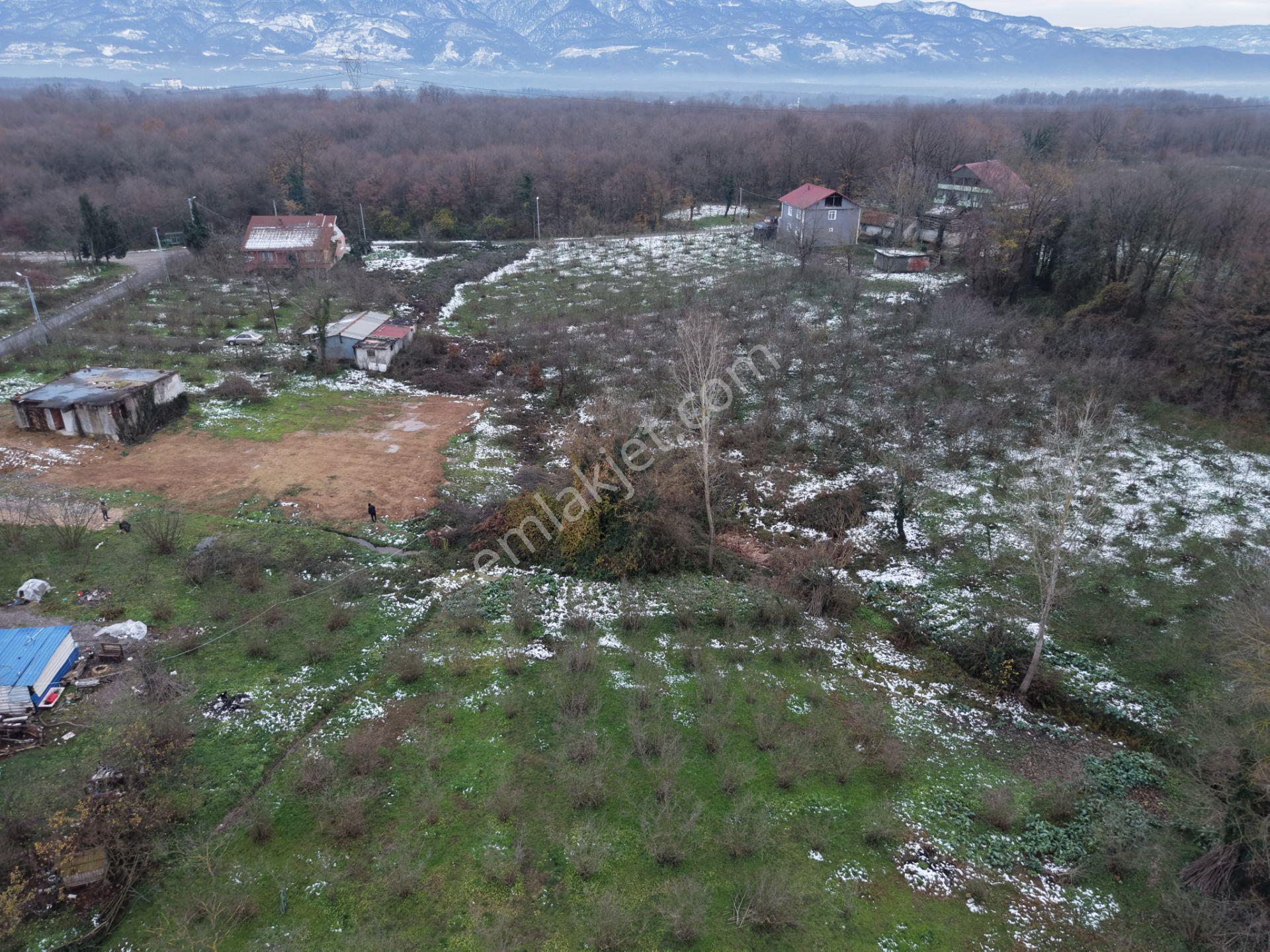 Emlakevim - Sakarya Hendek Akova Mah.de Satılık İmarlı Arsa - - Görsel 7