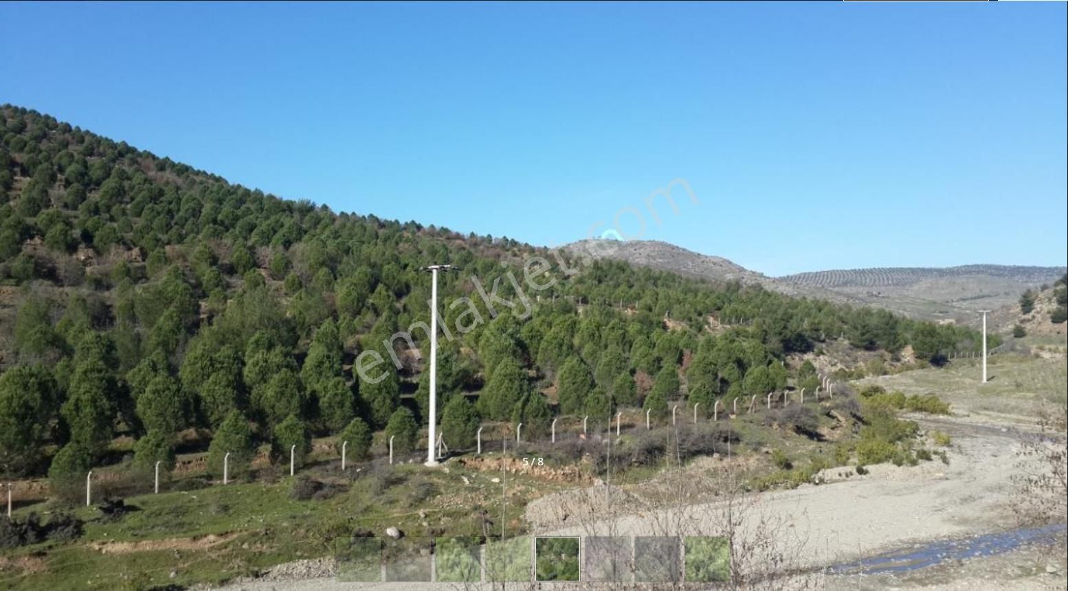 Balıkesir Ayvalık Ta Satılık 366 Donum Cam Fıstıklık Tarlası - Görsel 5