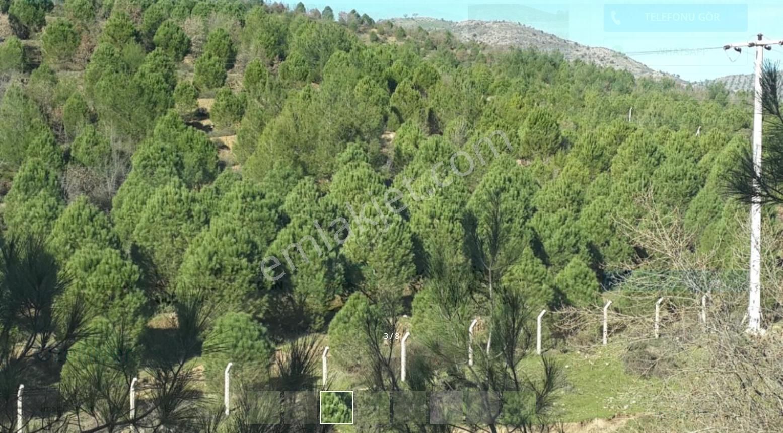 Balıkesir Ayvalık Ta Satılık 366 Donum Cam Fıstıklık Tarlası - Görsel 3