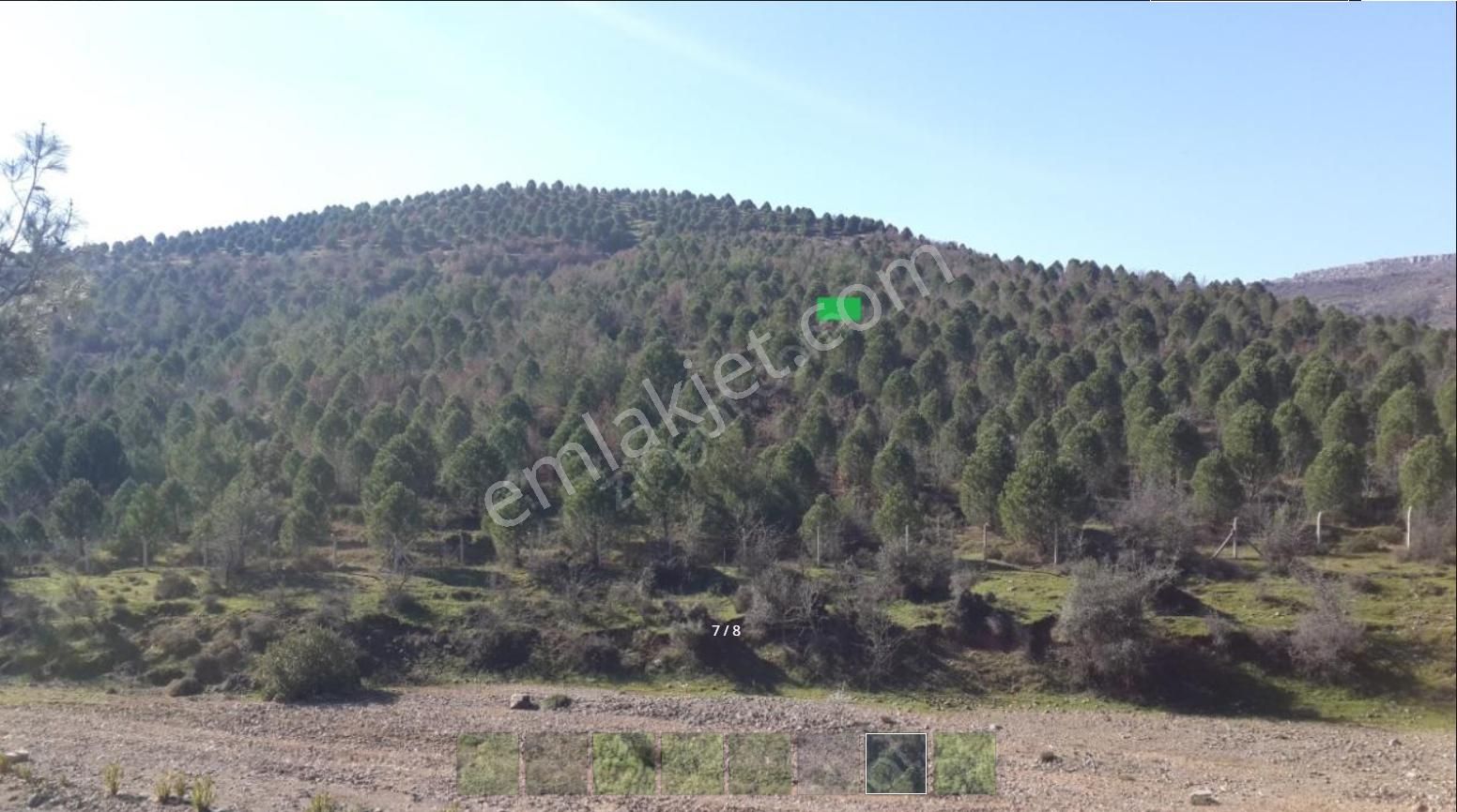 Balıkesir Ayvalık Ta Satılık 366 Donum Cam Fıstıklık Tarlası - Görsel 7