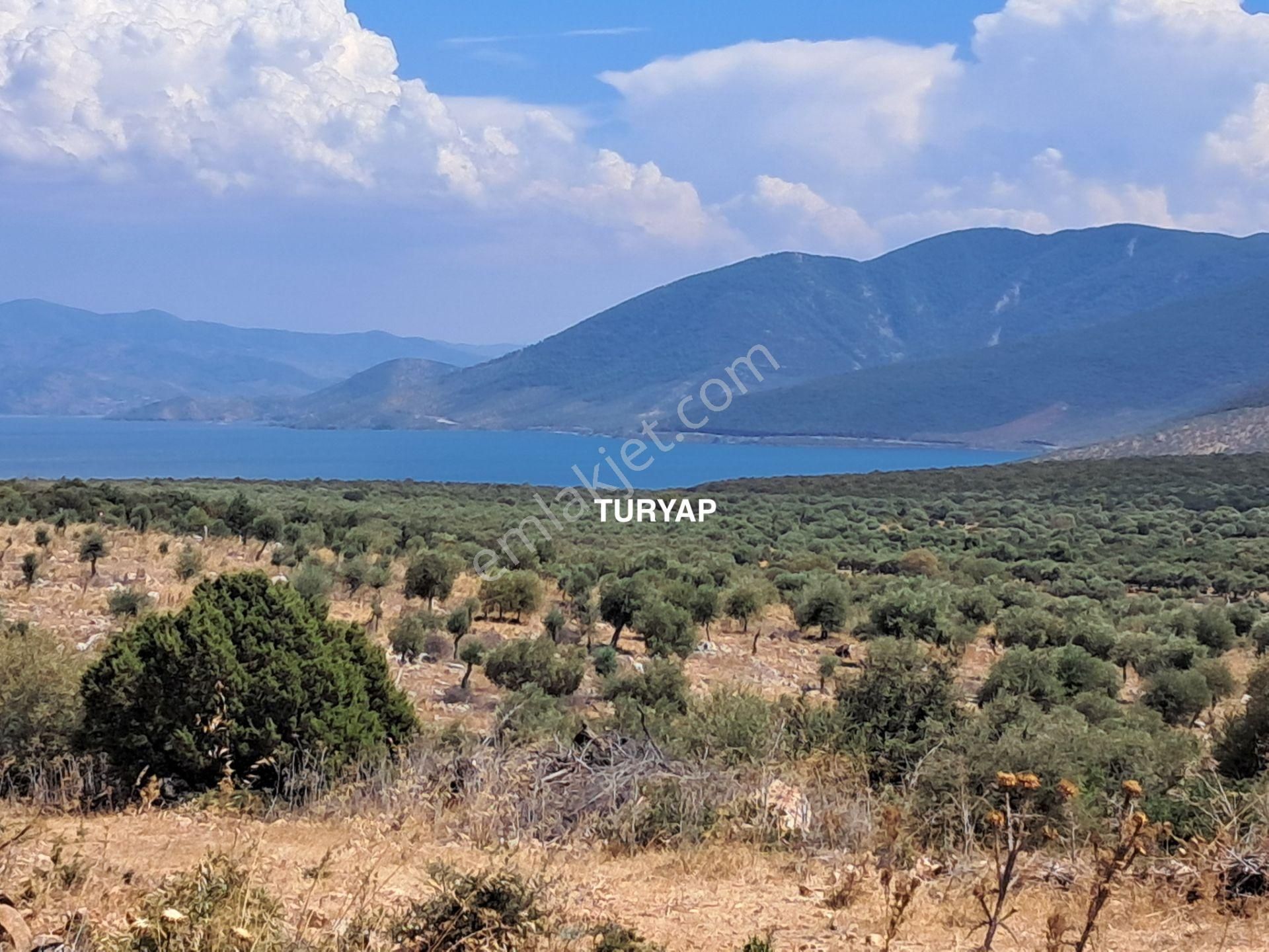 Didim 1 Adet Tam Müstakil Villa İmarlı 857 M2 Satılık Arsa - Görsel 3