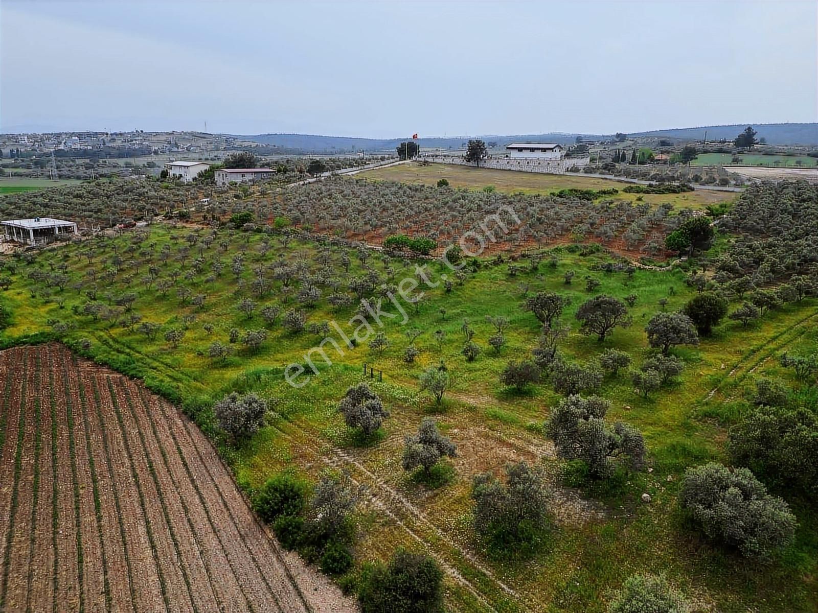 Q'zen Den İmara Yakın Tek Tapu Tarla - Görsel 5