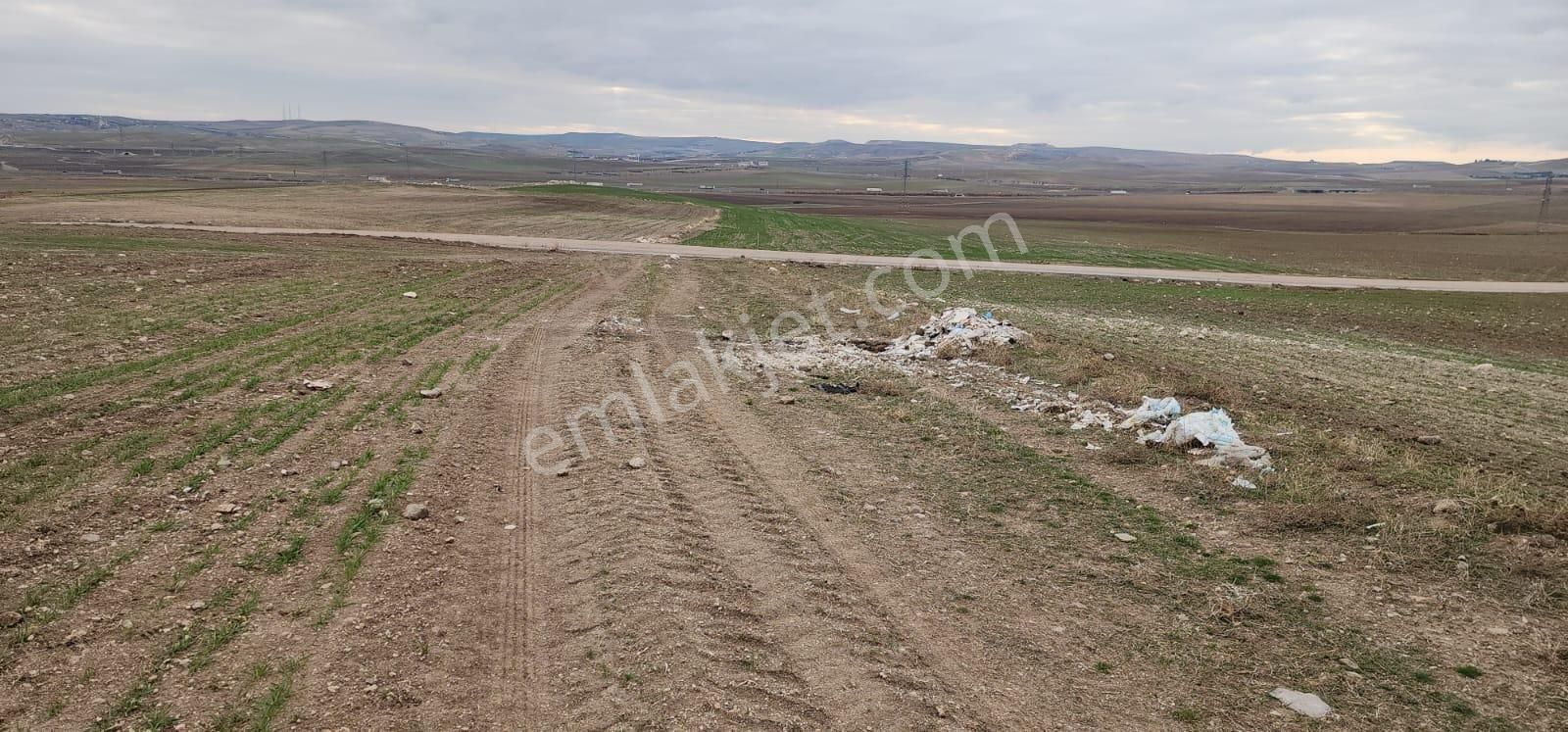 Gölbaşı Mahmatlı Toki Projesi Başlıyor Sizde Yerinizi Alın - Görsel 4