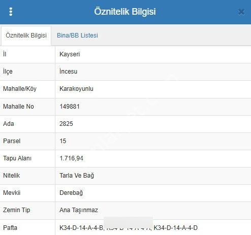 Wave Gayrimenkul | İncesu | A.bağları | 1.731 M2 | Satılık Bağ - Görsel 3