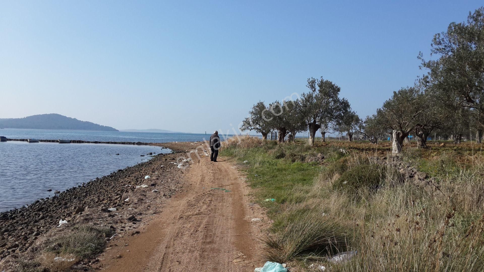Balıkesir Ayvalık Cunda Da Satılık 28 Donum Arsa.denize Sıfır. - Görsel 18