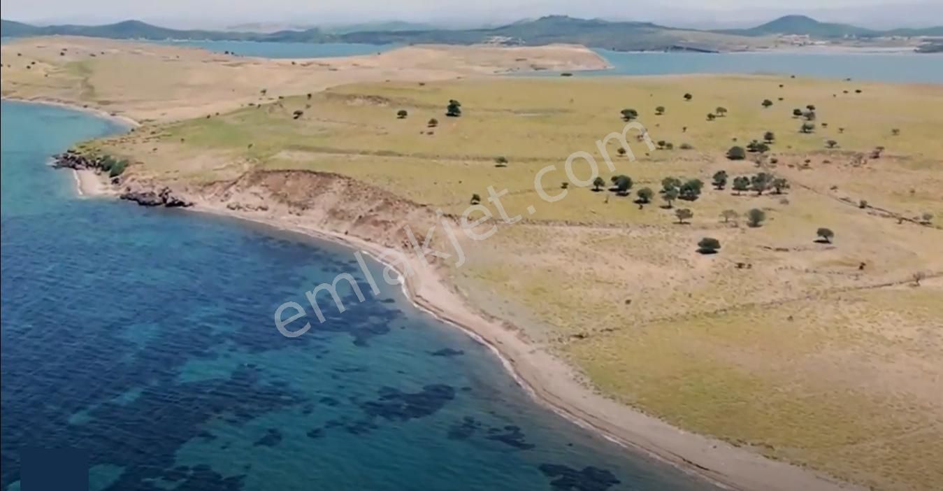 Balıkesir Ayvalık Cıplak Ada Da Satılık 10 Donum Arsa. - Görsel 2