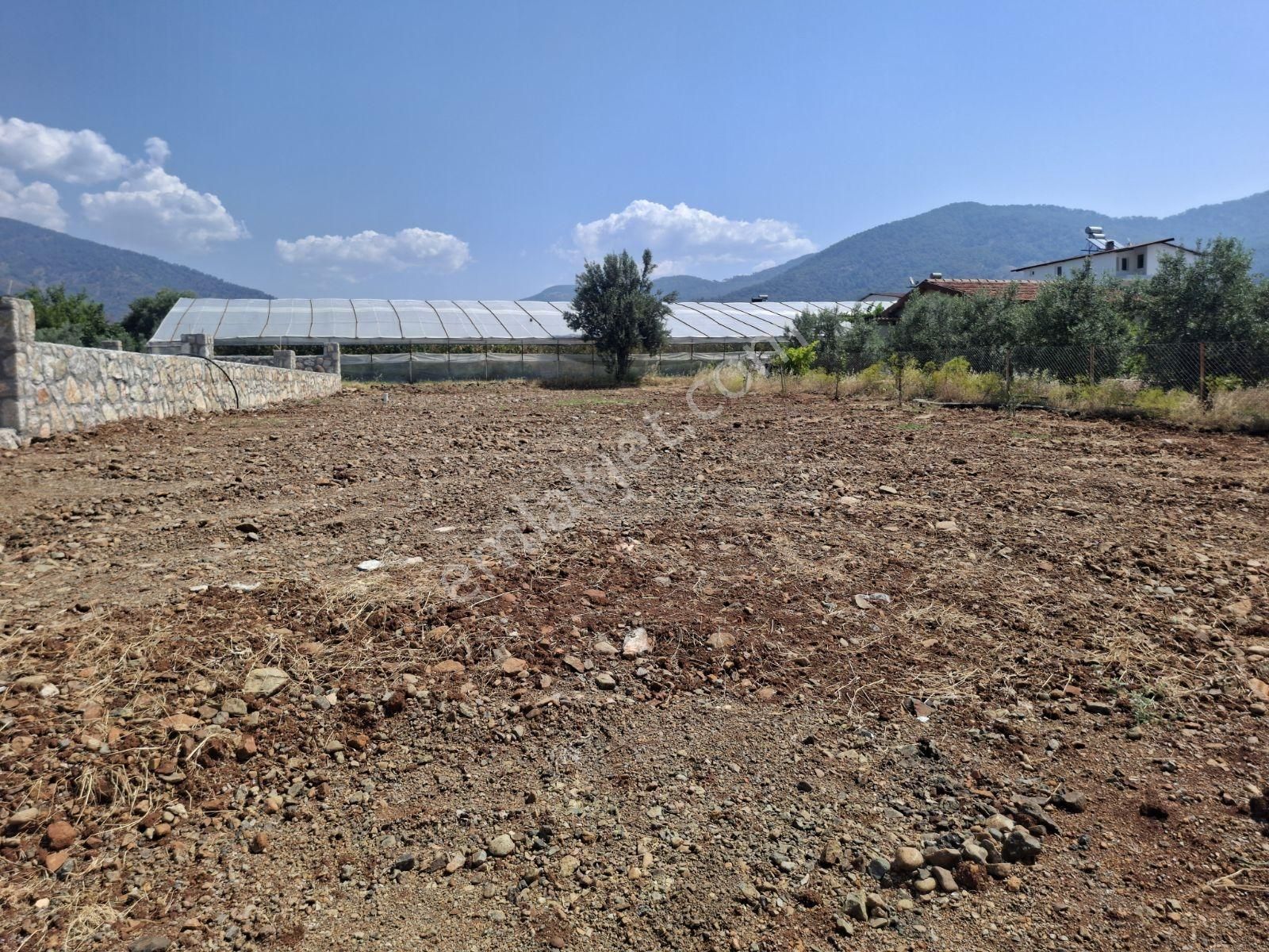 Çamköy Eldirek Sınırında 600 M2 Müstakil Tapu Satılık Tarla - Görsel 9