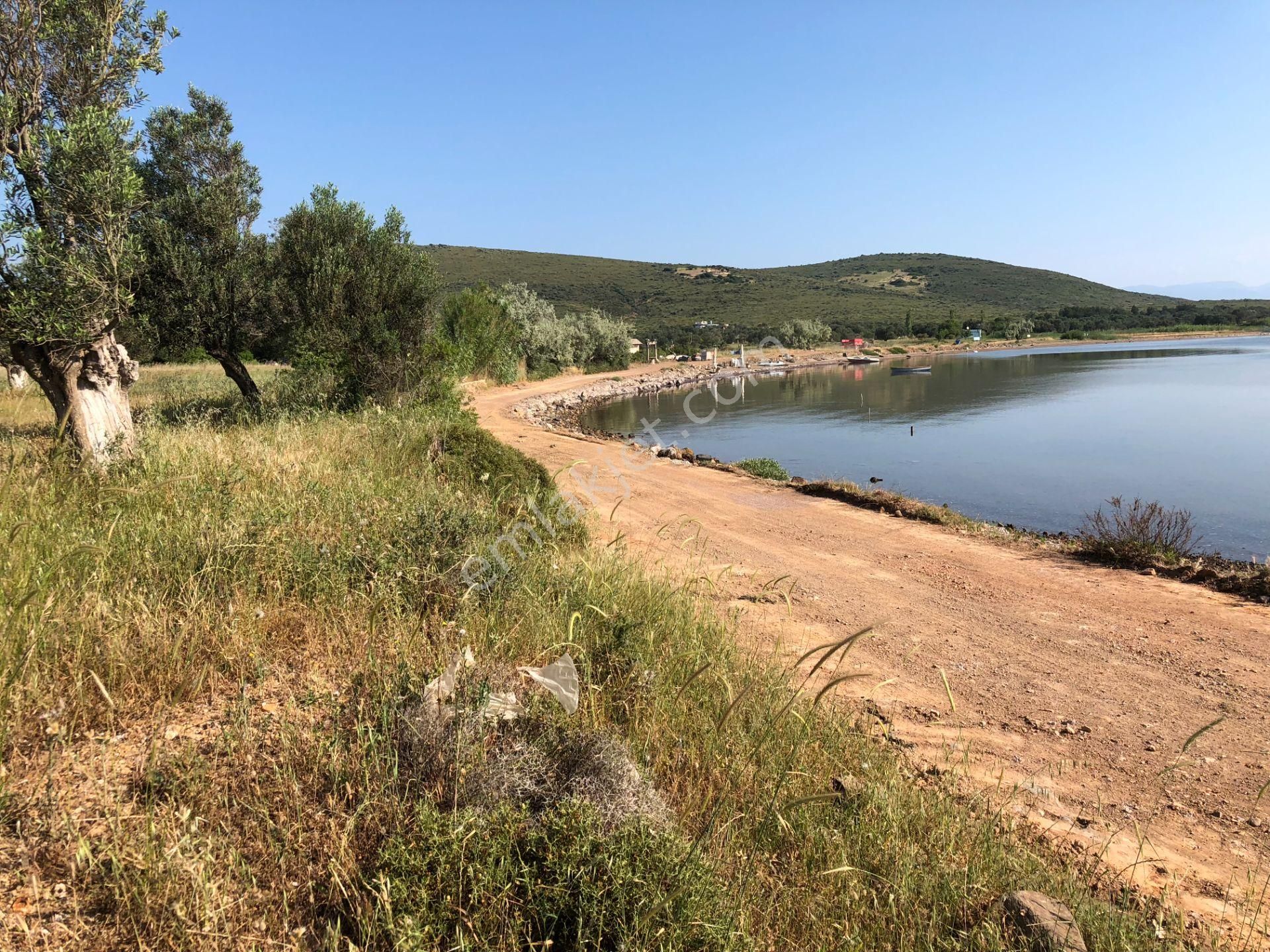 Ayvalık Cunda Da Satılık 21,000 Metre Kare Arsa.denize Sıfır - Görsel 5