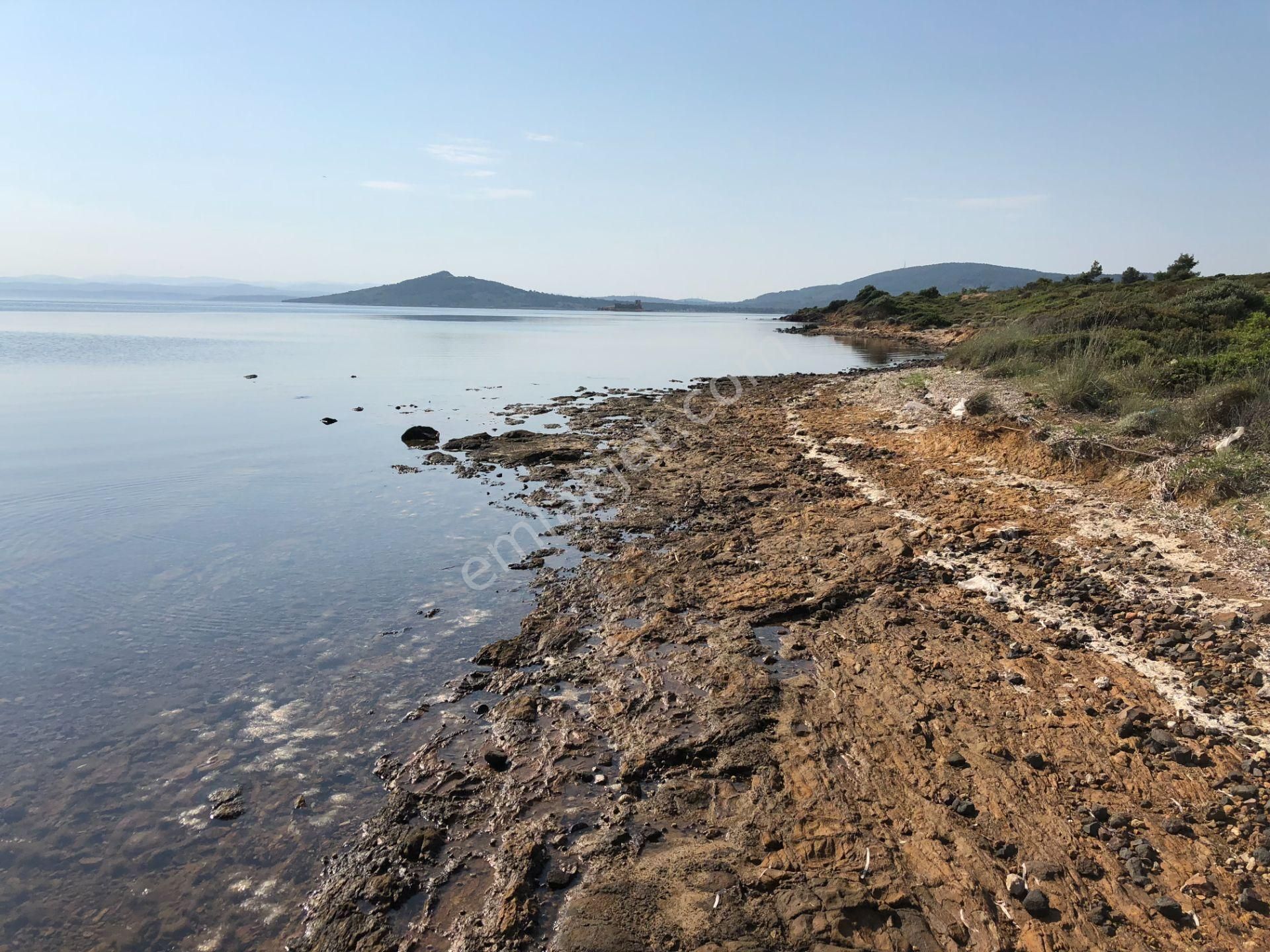 Ayvalık Cunda Da Satılık 21,000 Metre Kare Arsa.denize Sıfır - Görsel 3