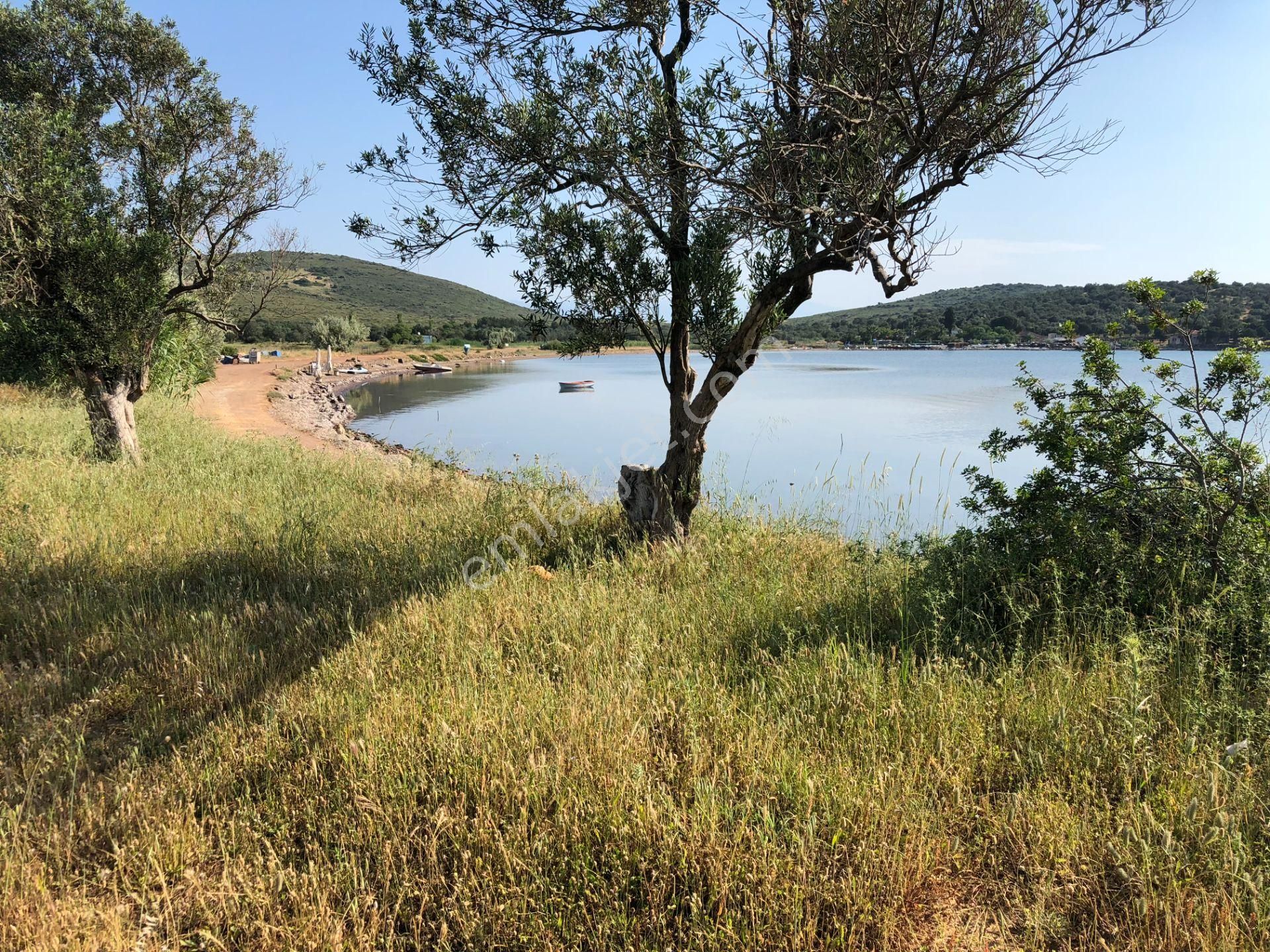 Ayvalık Cunda Da Satılık 21,000 Metre Kare Arsa.denize Sıfır - Görsel 8