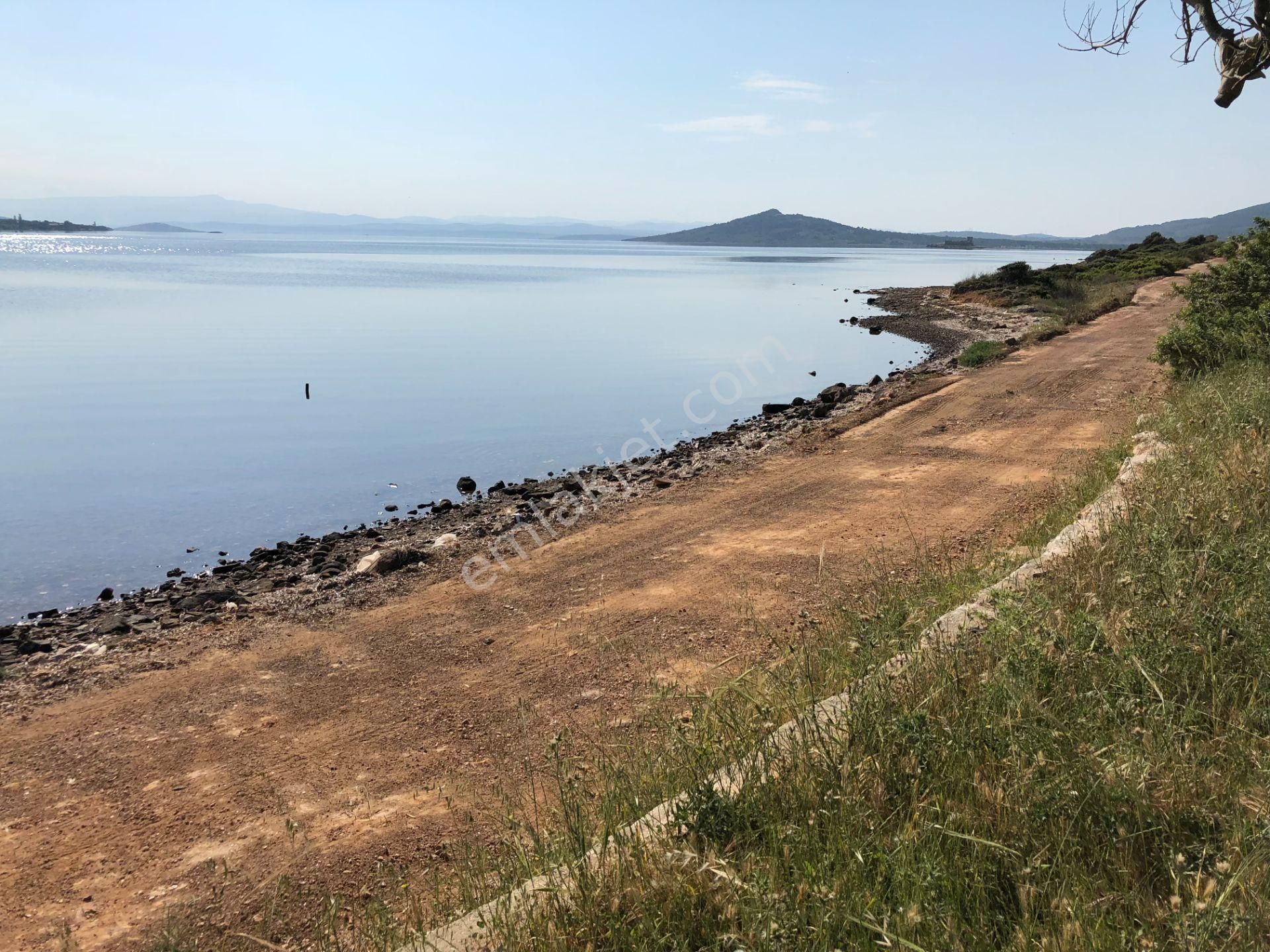 Ayvalık Cunda Da Satılık 21,000 Metre Kare Arsa.denize Sıfır - Görsel 9