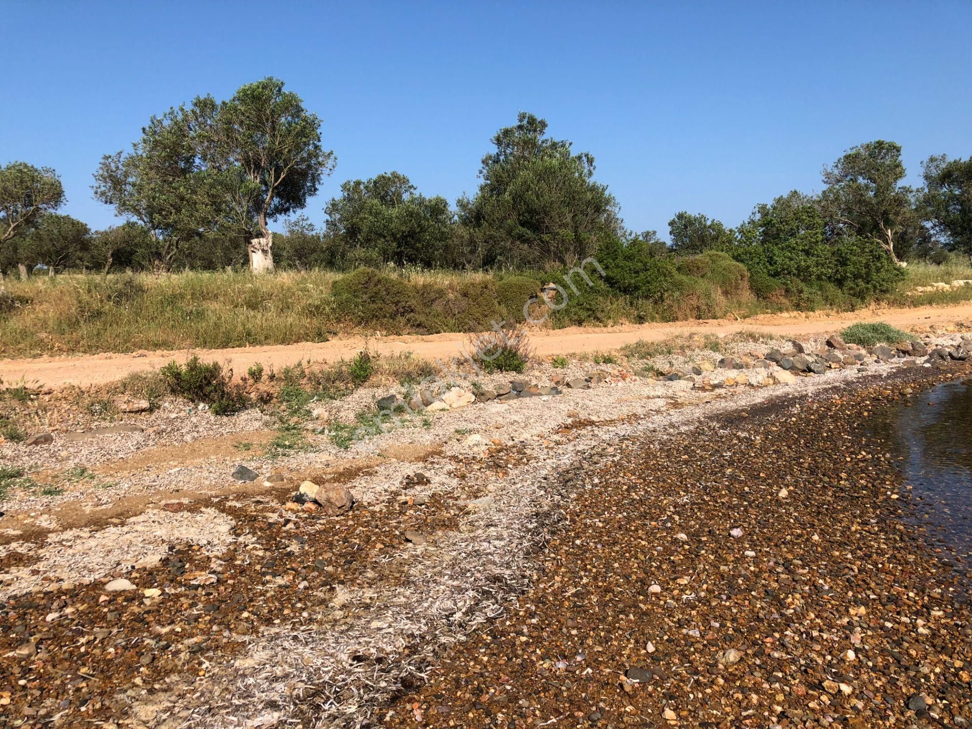 Ayvalık Cunda Da Satılık 21,000 Metre Kare Arsa.denize Sıfır - Görsel 4