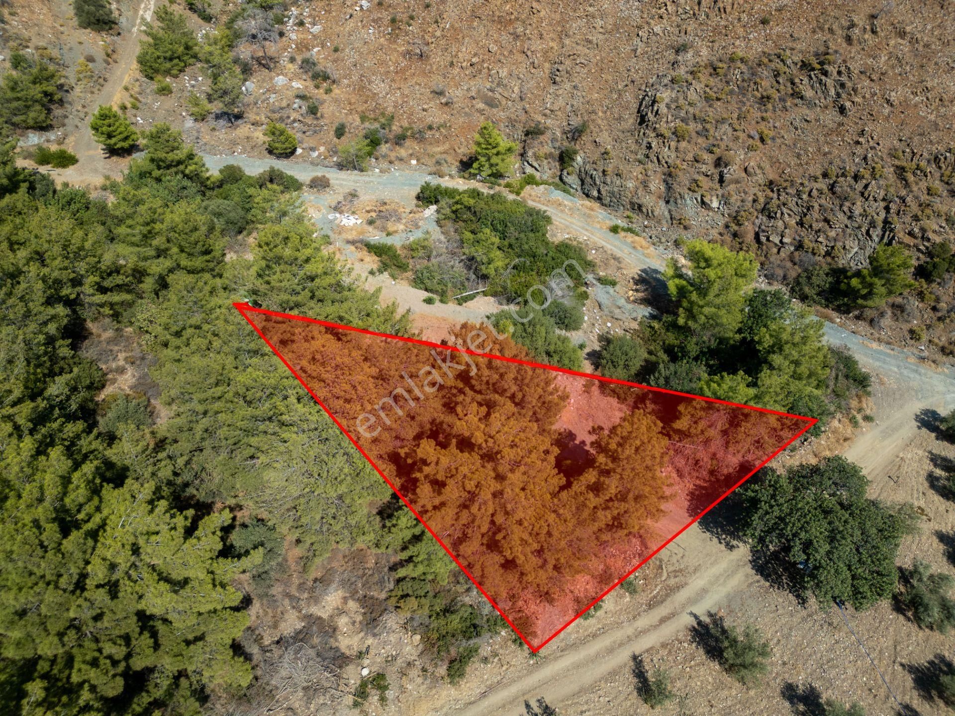 Datça Mesudiye Kızılbük Koyunda Satılık Denize 600m 1.496m2 Arazi - Görsel 7