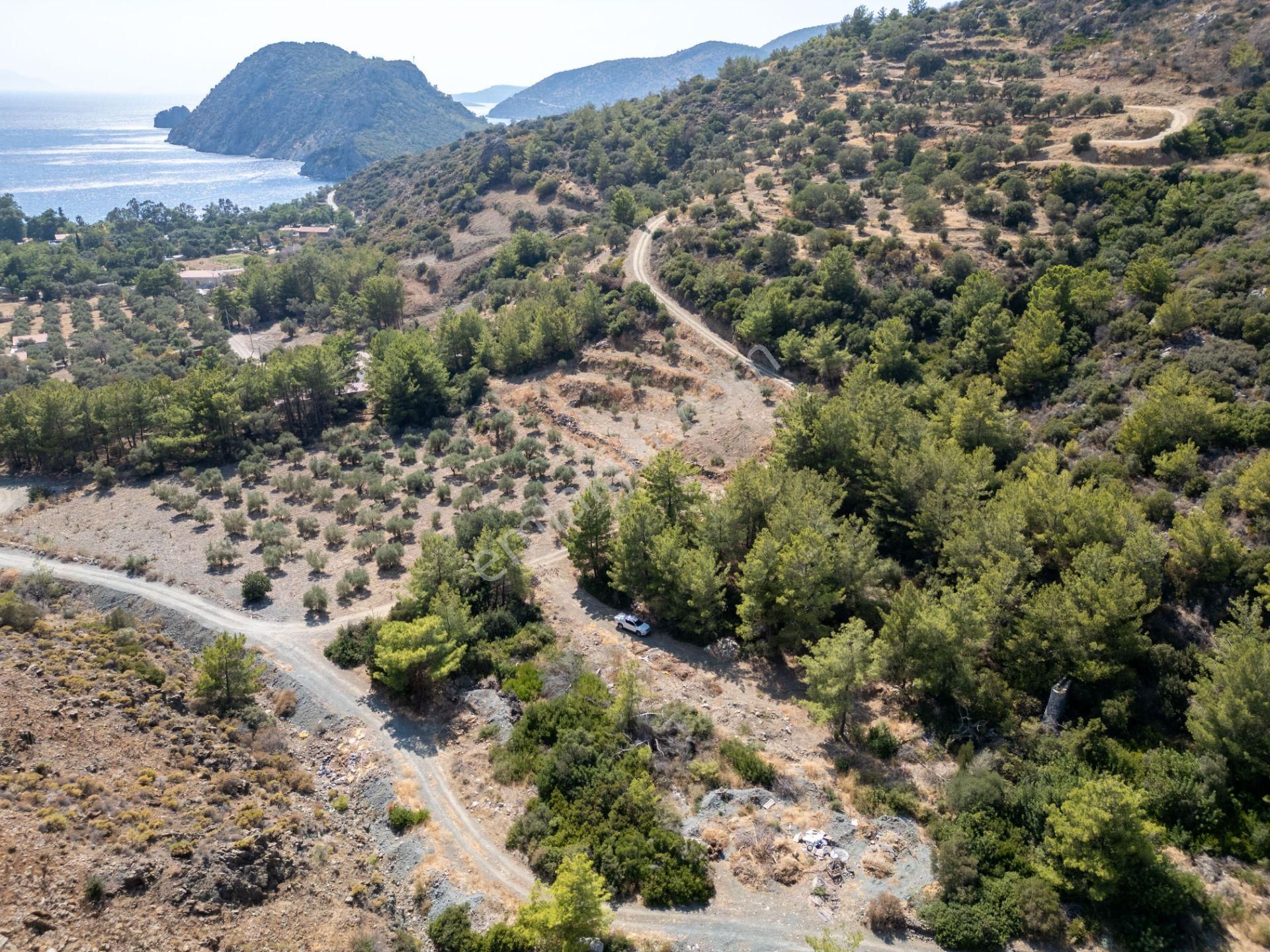 Datça Mesudiye Kızılbük Koyunda Satılık Denize 600m 1.496m2 Arazi - Görsel 2
