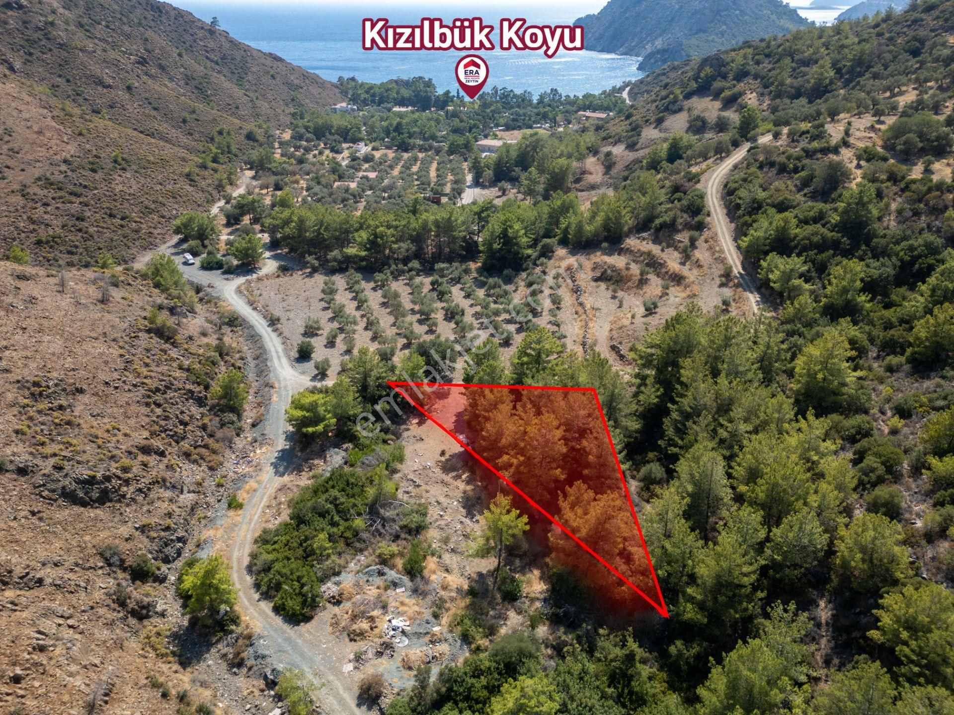 Datça Mesudiye Kızılbük Koyunda Satılık Denize 600m 1.496m2 Arazi - Görsel 6