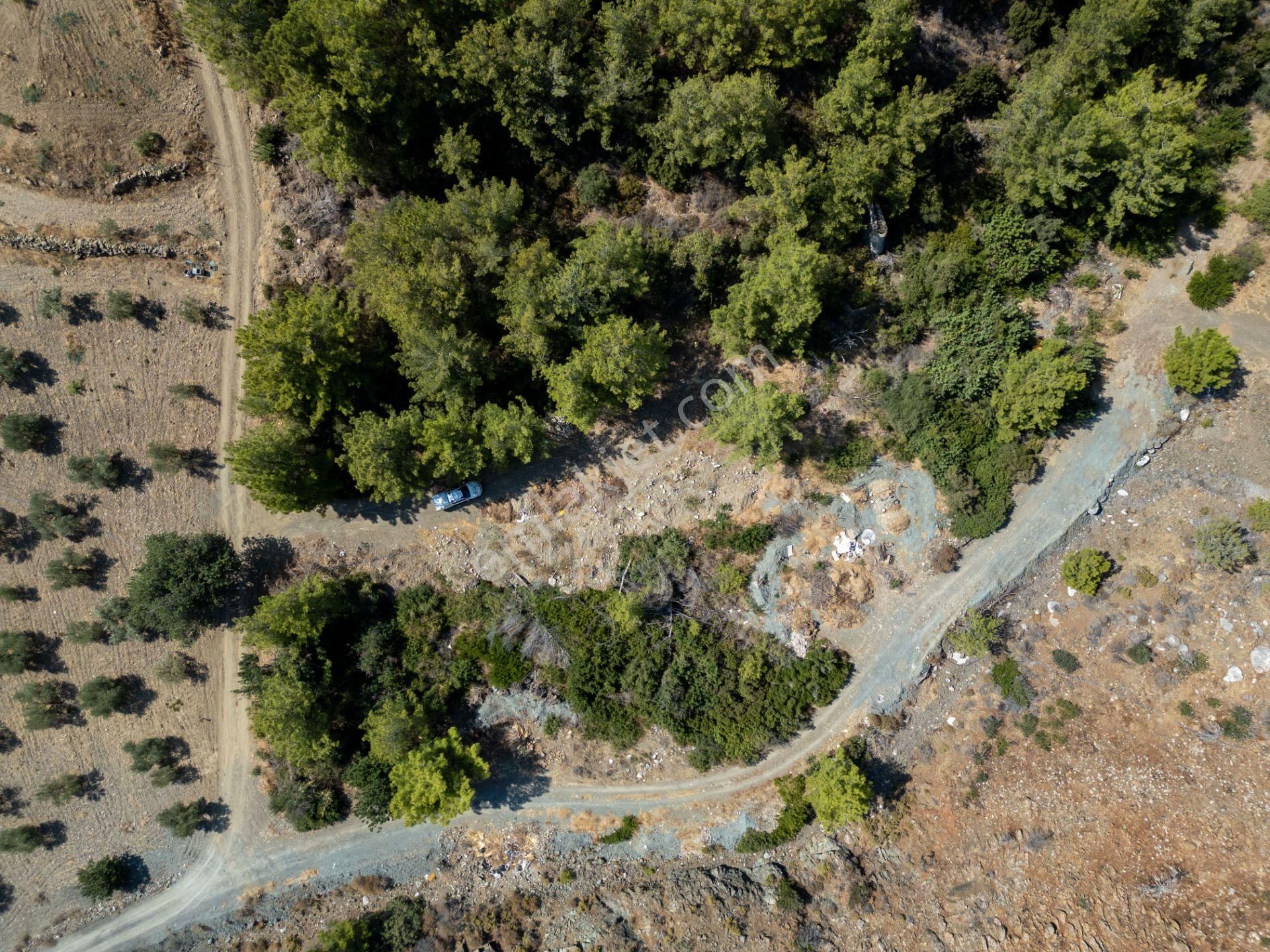 Datça Mesudiye Kızılbük Koyunda Satılık Denize 600m 1.496m2 Arazi - Görsel 11