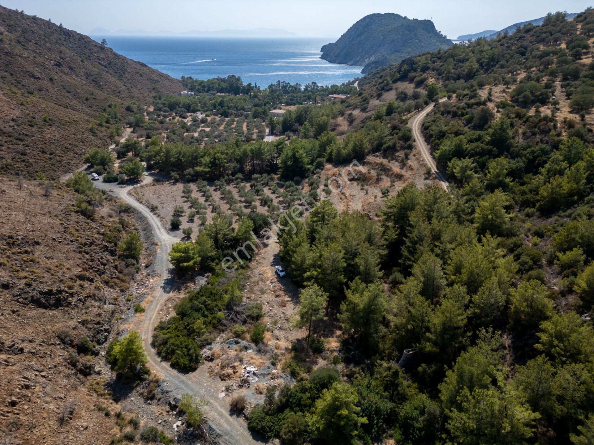 Datça Mesudiye Kızılbük Koyunda Satılık Denize 600m 1.496m2 Arazi