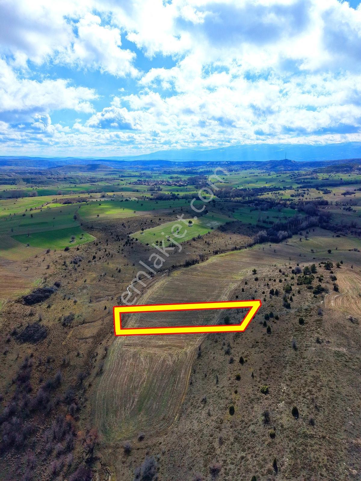 Kütahya Merkez ' De 2.128 M2 İl Merkezinde Yola Cephe Düz Arazi