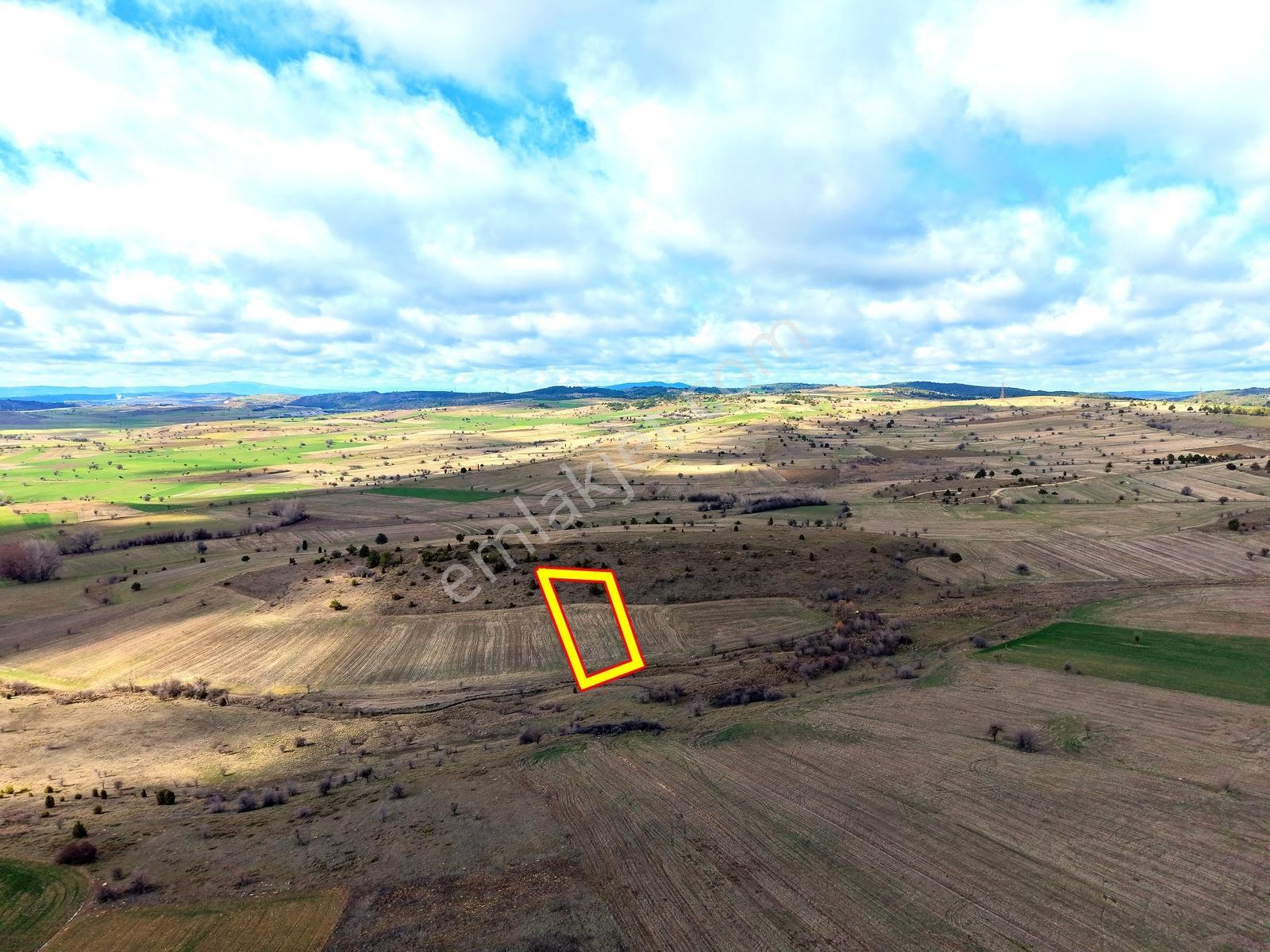 Kütahya Merkez ' De 2.128 M2 İl Merkezinde Yola Cephe Düz Arazi - Görsel 4