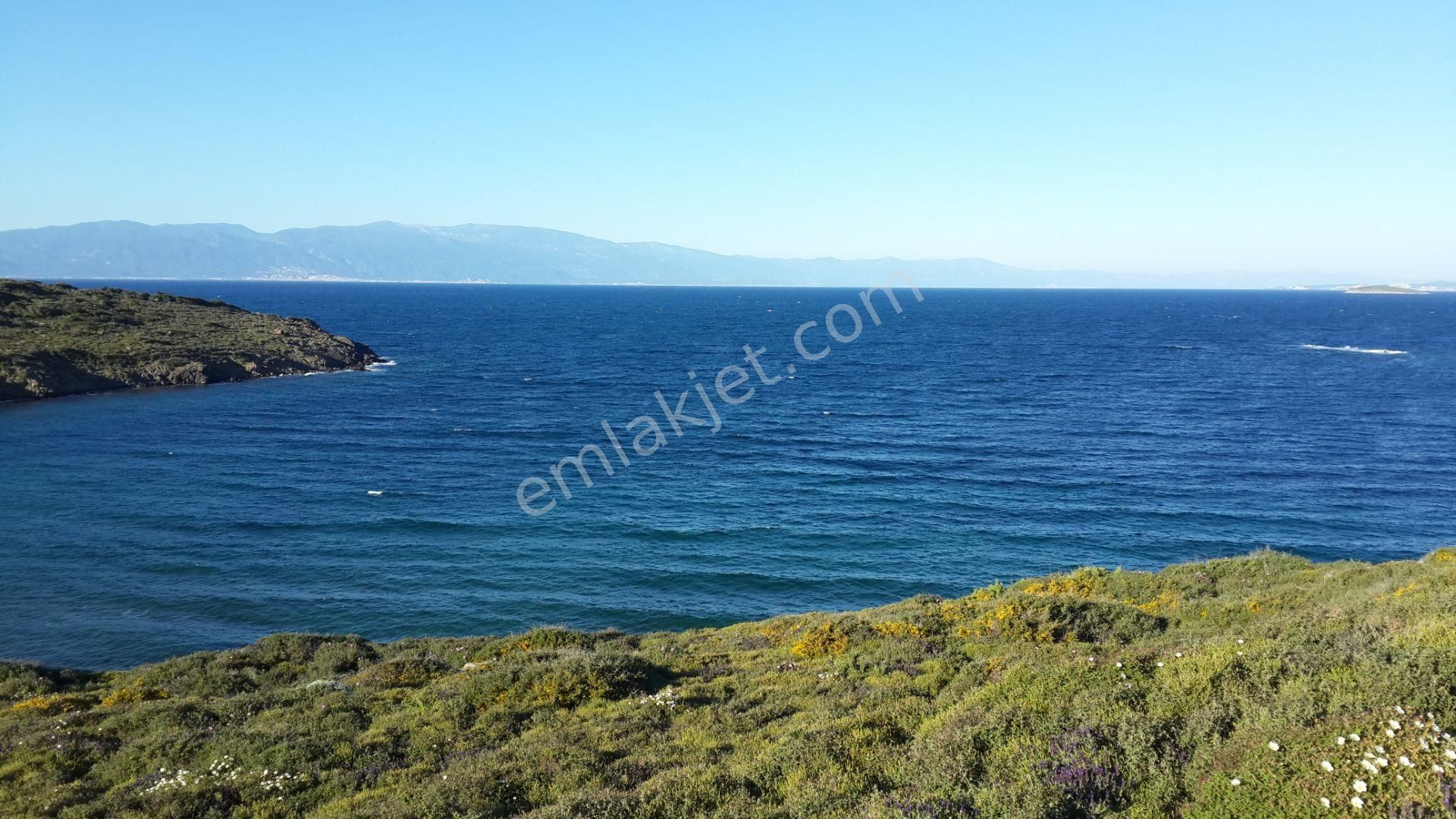 Ayvalık Cunda Da Satılık 100.000 Metre Kare Arsa.denize Sıfır - Görsel 5