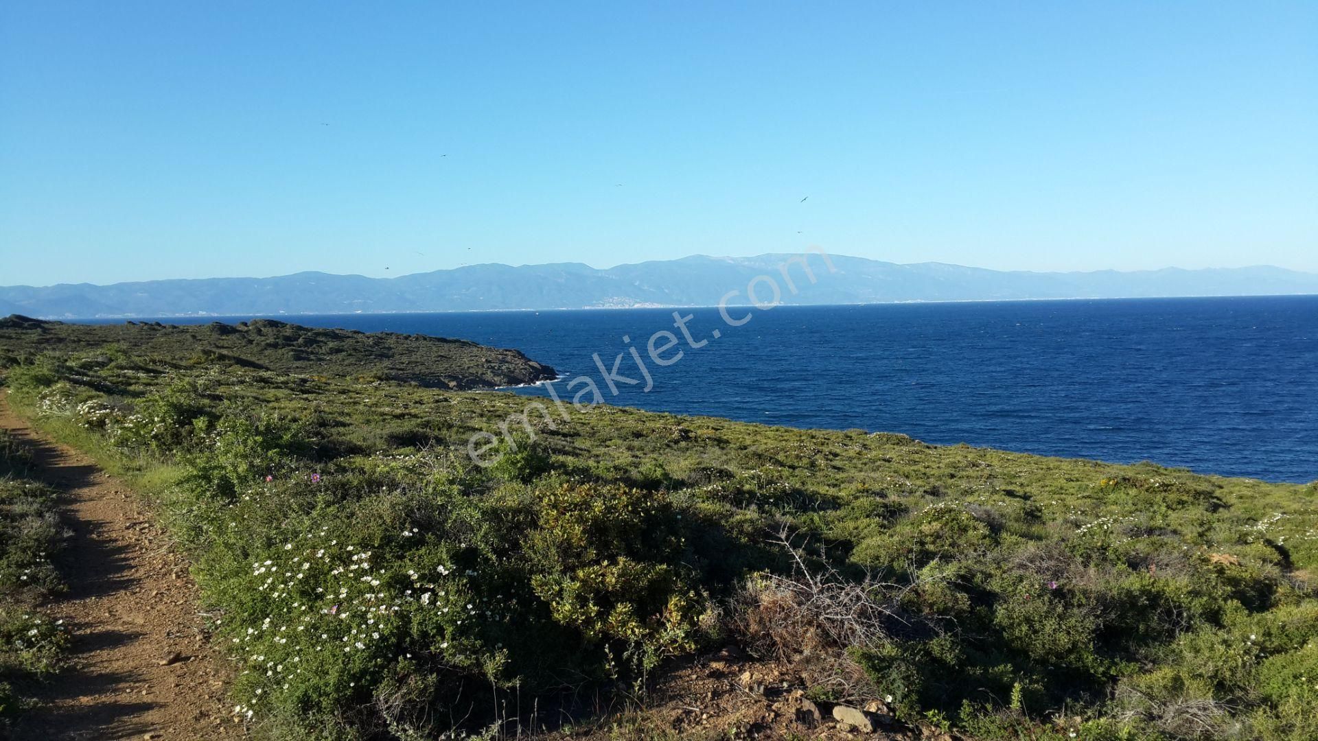 Ayvalık Cunda Da Satılık 100.000 Metre Kare Arsa.denize Sıfır - Görsel 3